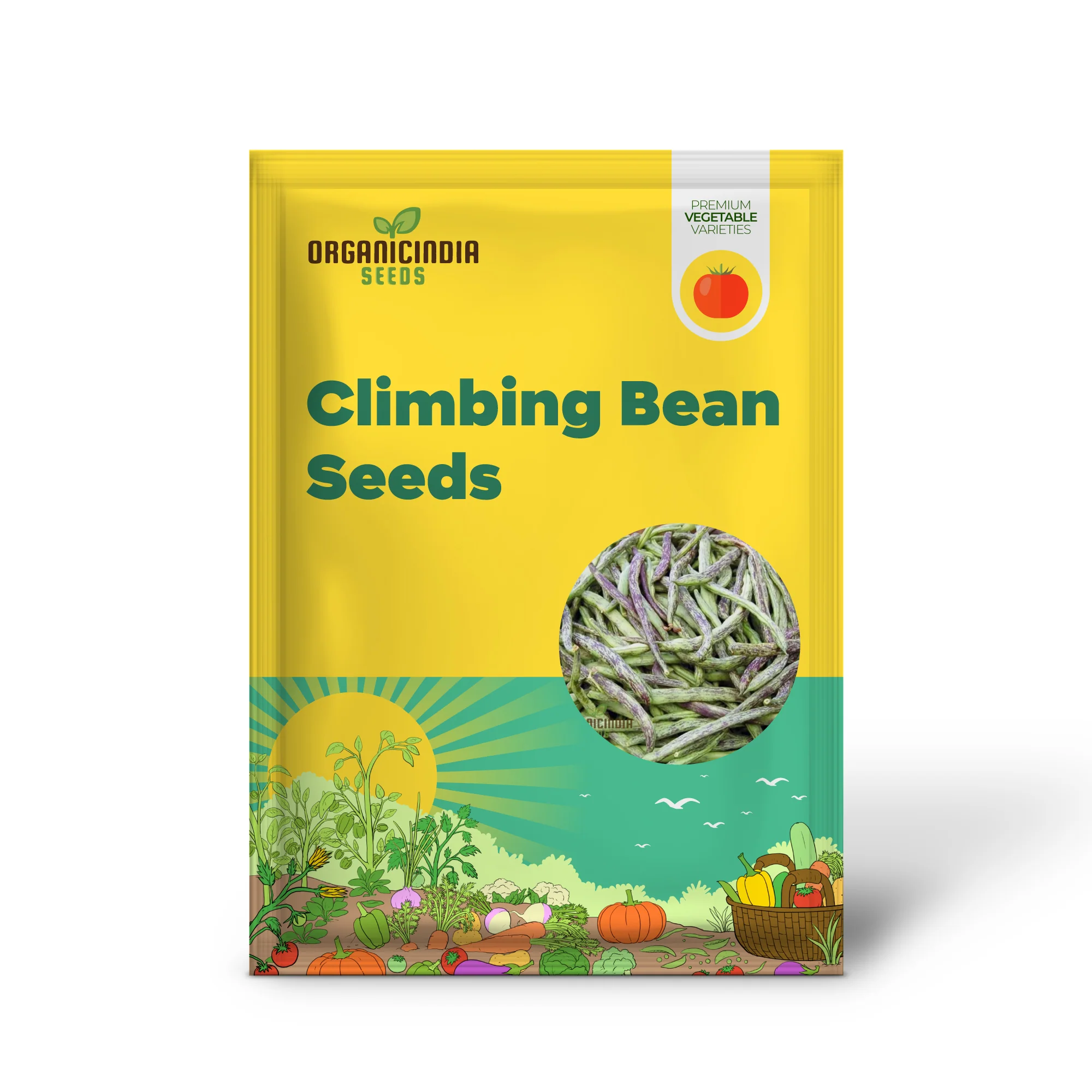 Bean Climbing - Rattlesnake Seeds for Your Gardening Adventures | Heirloom Seeds for Climbing Beans - Image 2