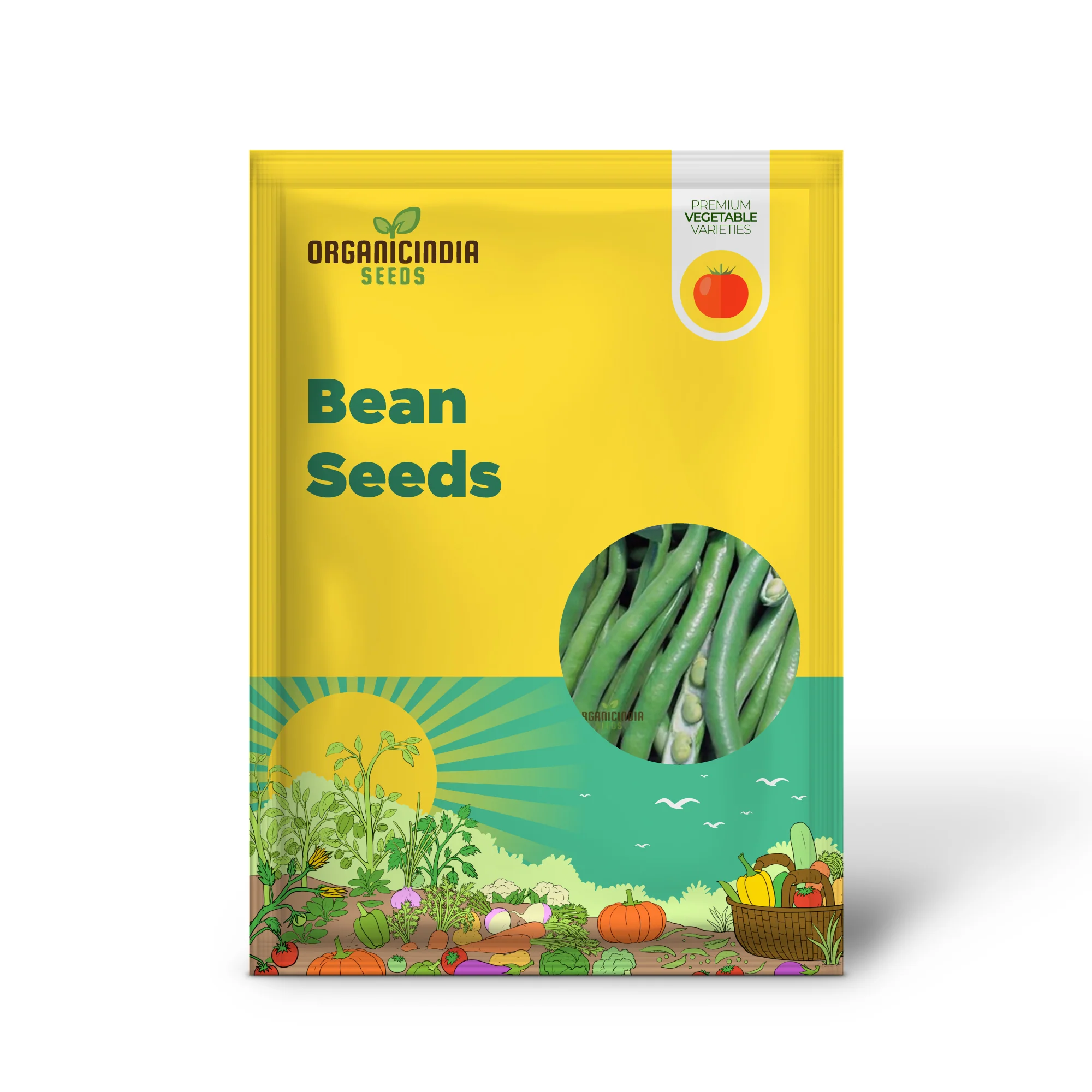 Bean Seeds - Broad 'Bunyard's Exhibition' for Gardening Enthusiasts | Premium Quality Organic Seeds for Planting - Image 2