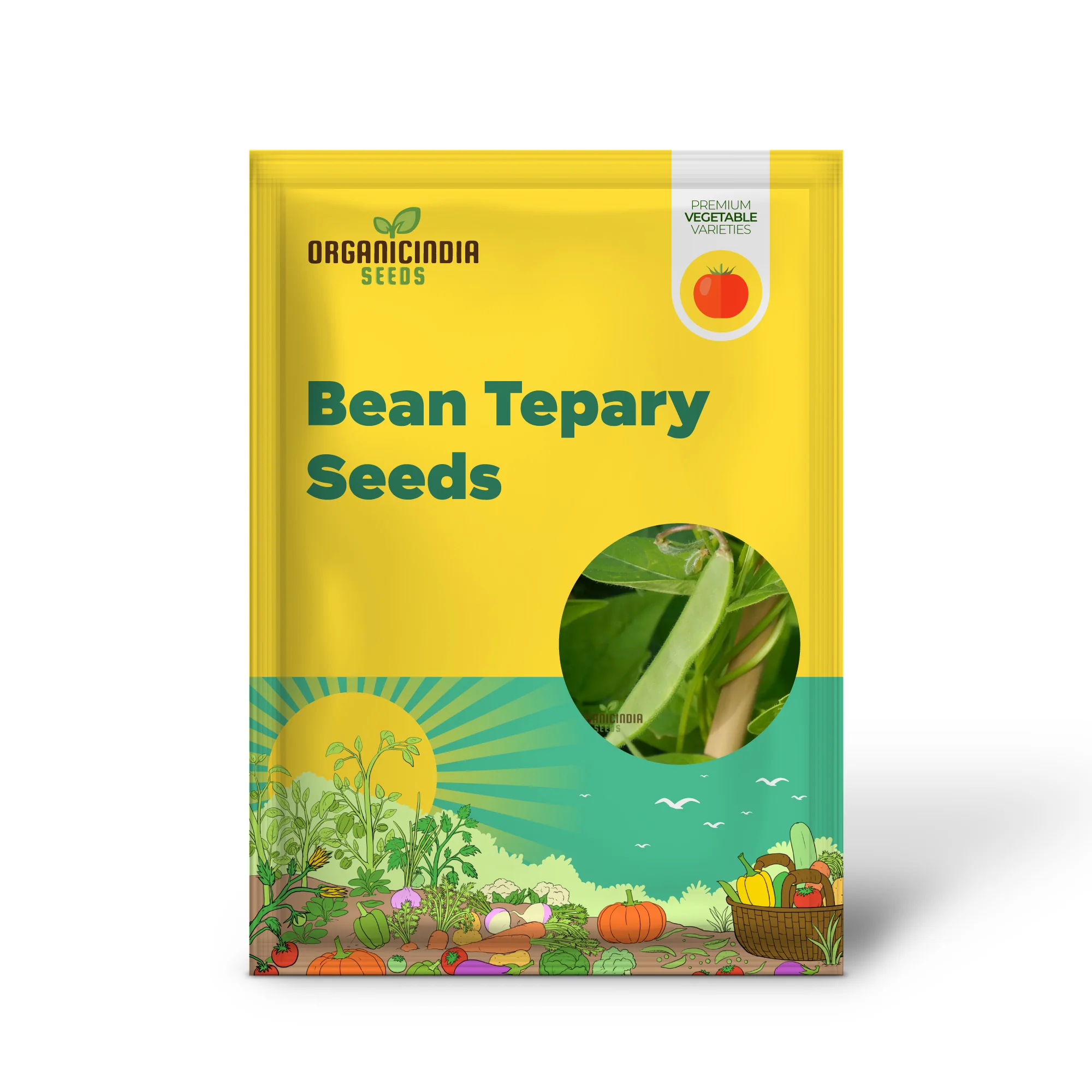 Bean Tepary Blue Seeds For Planting, Grow Unique and Nutritious Blue Beans - Image 2