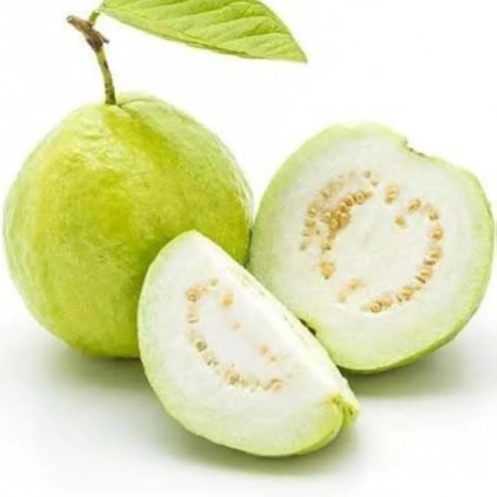 Beaumont Guava Seeds – Sweet & Aromatic Tropical Fruit for Planting - Image 2