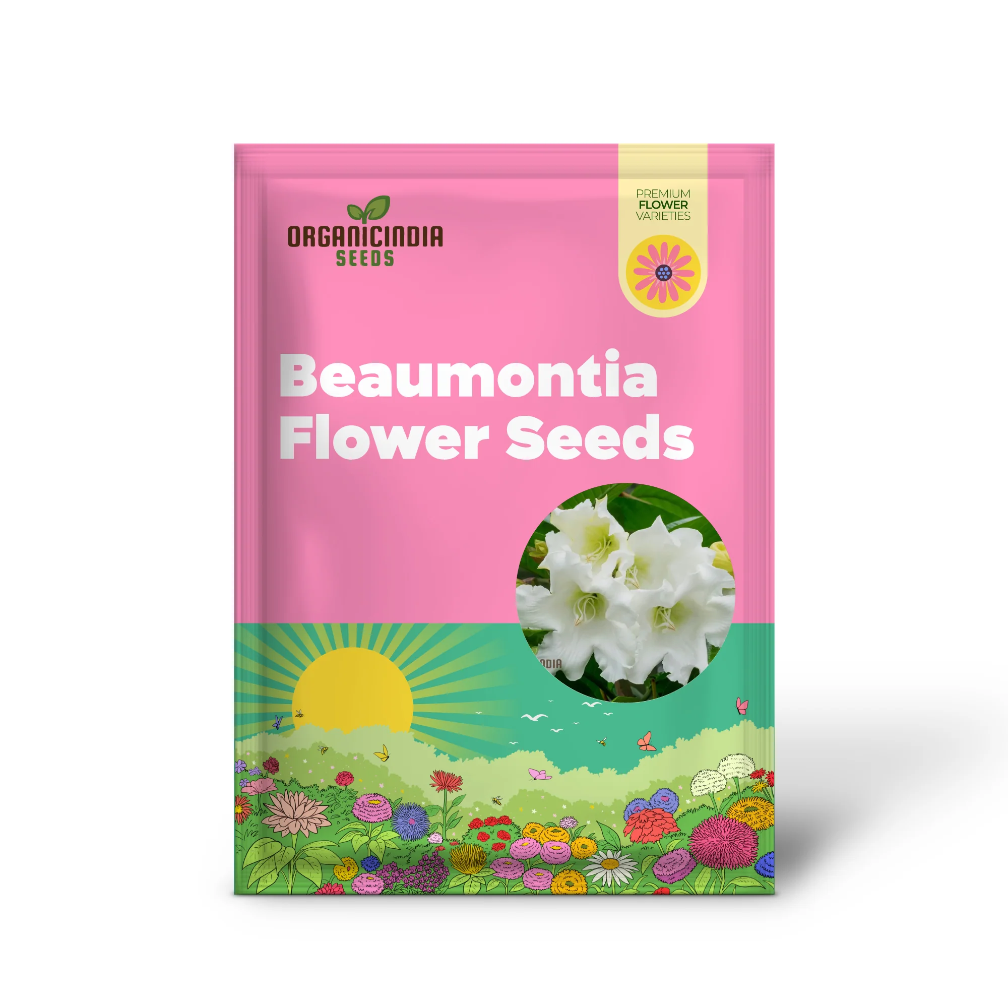 Beaumontia Grandiflora Seeds For Planting: Stunning Climbing Vine for Enthusiastic Gardeners and Plant Connoisseurs - Image 2