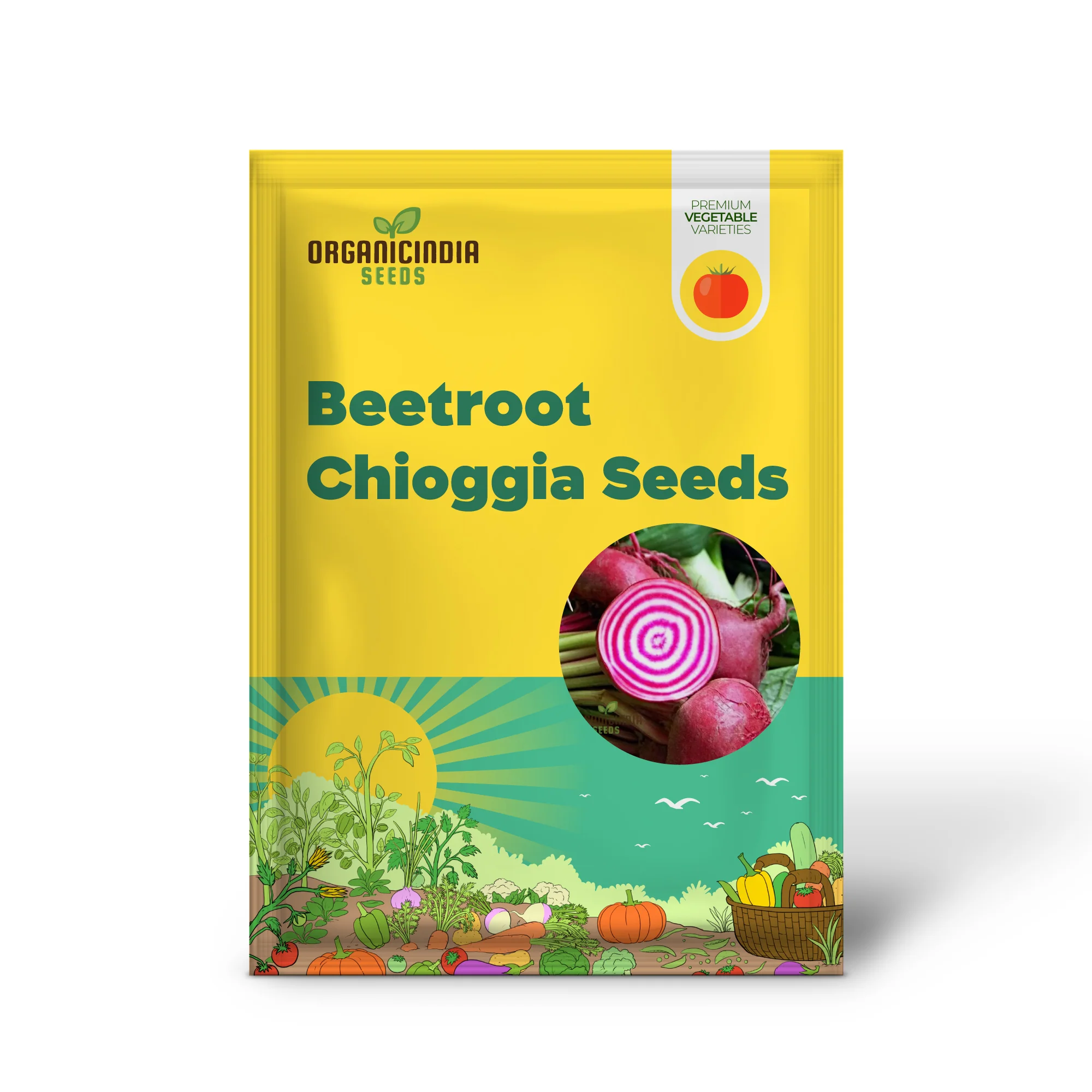 BEETROOT CHIOGGIA Seeds for Planting| Organic Gardening Seeds - Image 2