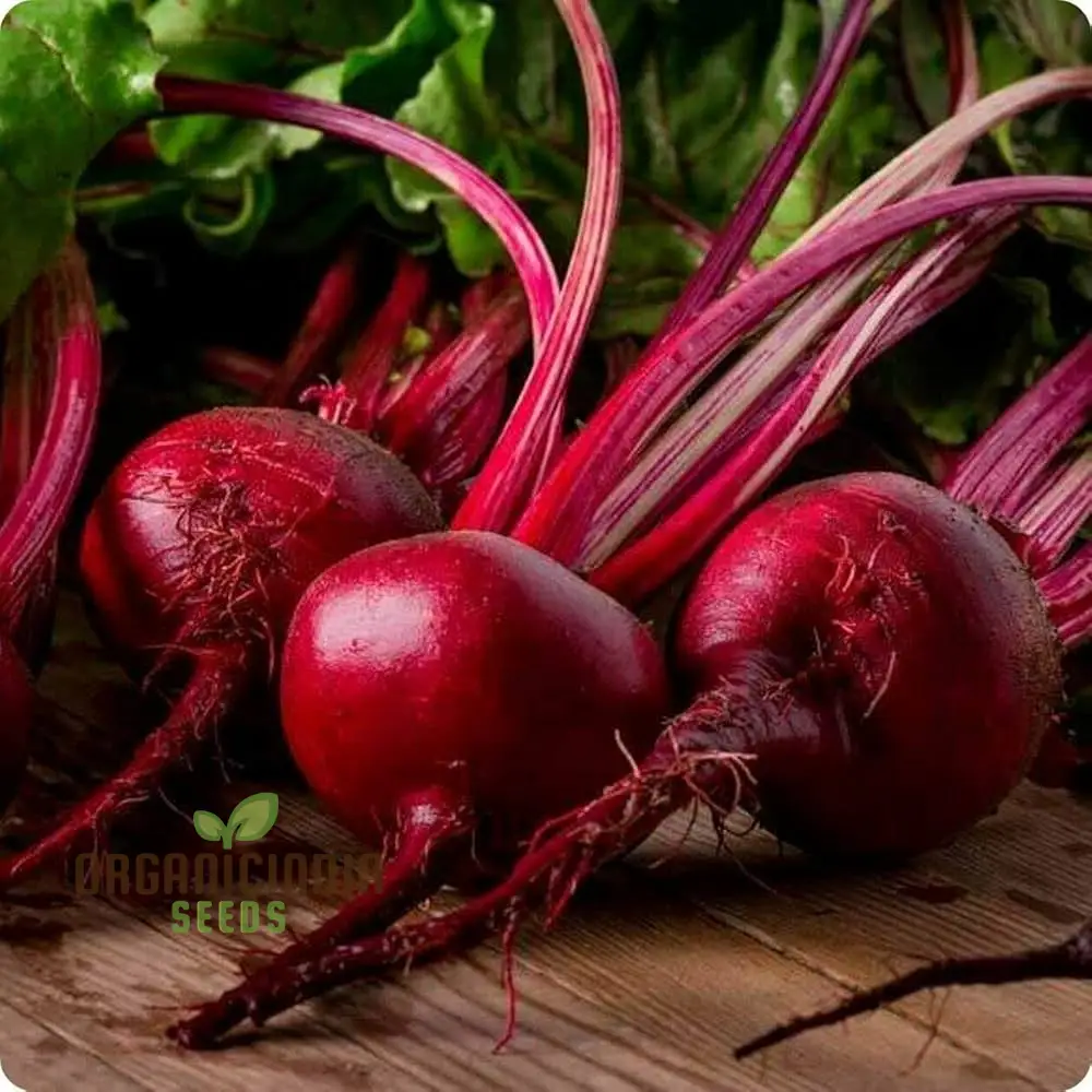 BEETROOT CRIMSON GLOBE Seeds for Planting