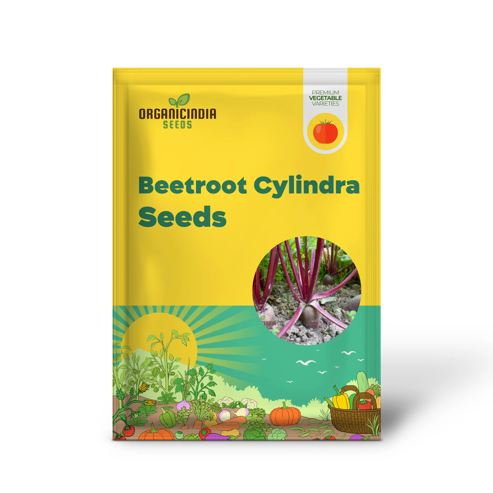 Beetroot Cylindra Seeds for Planting - High-Yield Garden Varietal for Robust Crops - Image 2