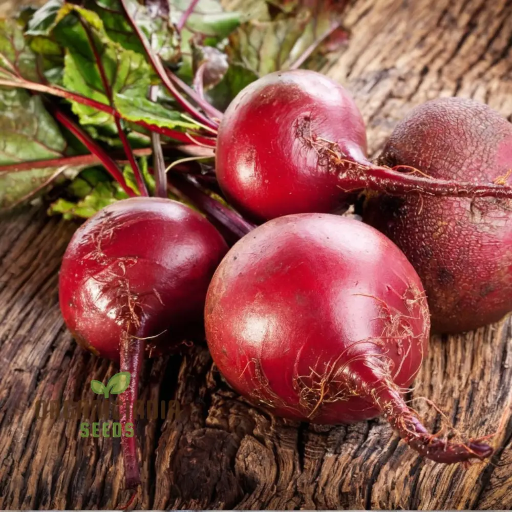 Beetroot - Detroit Dark Red Vegetable Seeds (DDR), High-Yield Heirloom Variety - Image 3