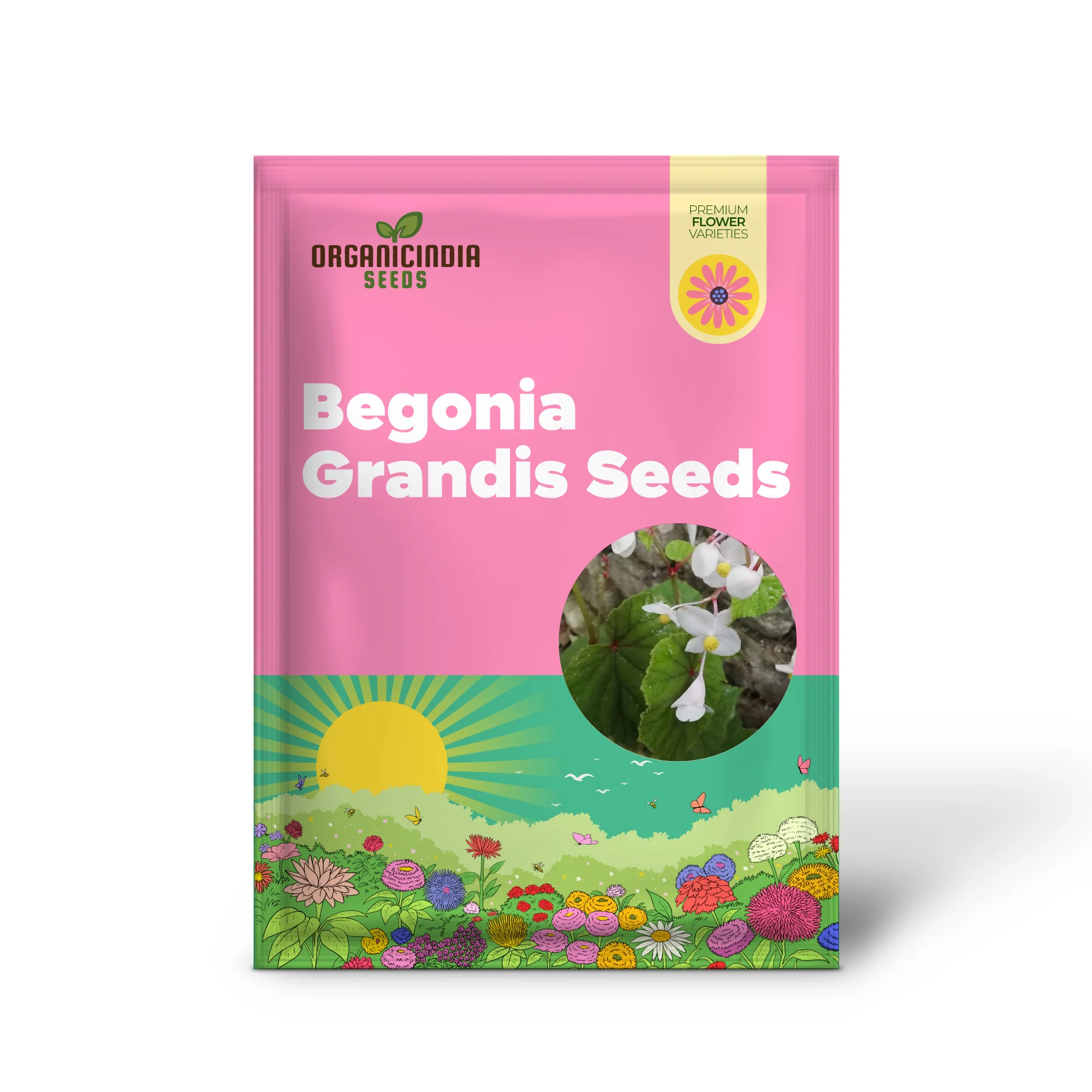 Begonia Grandis Alba Subsp Evansiana Seeds For Planting - Exquisite Gardening Delight for Discerning Plant Enthusiasts - Image 2