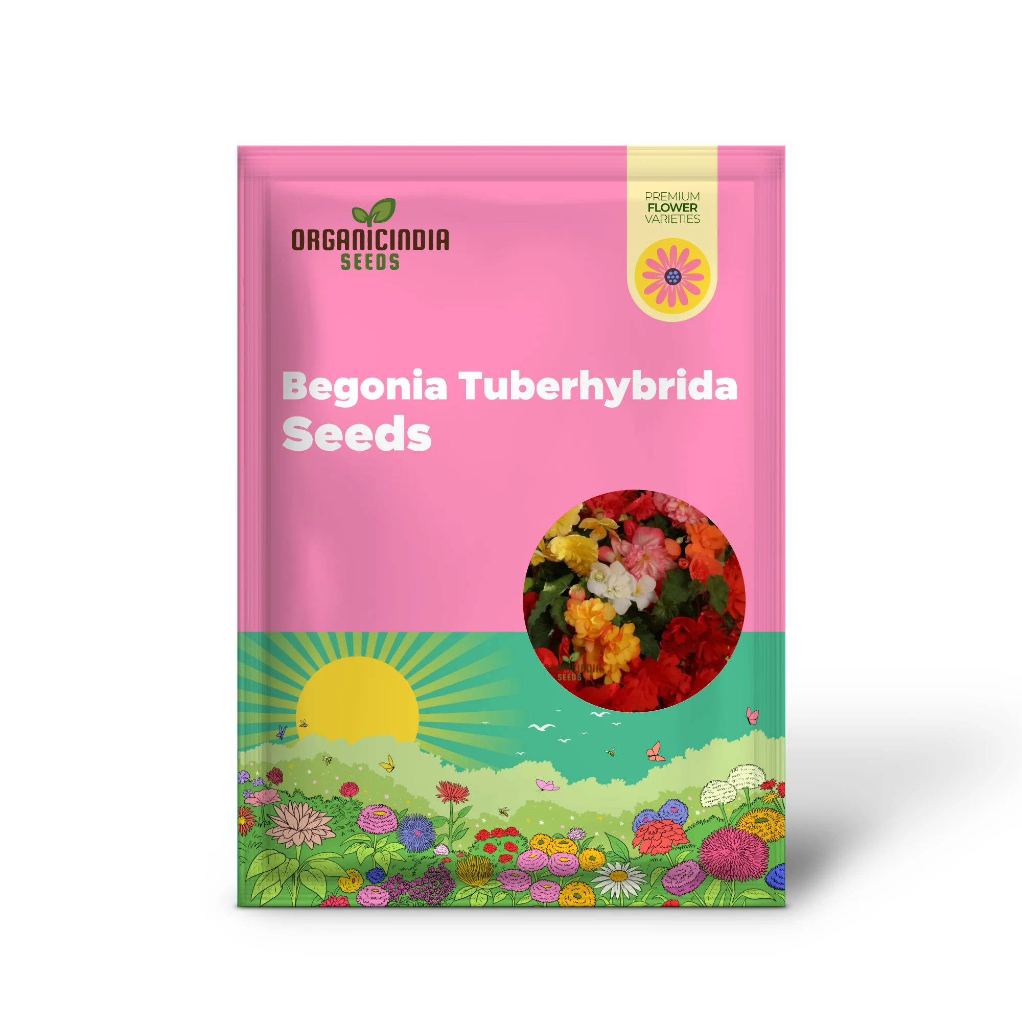 Begonia Tuberhybrida Chanson Mixed F1 Seeds – Vibrant Mixed Bloom Variety - Image 2