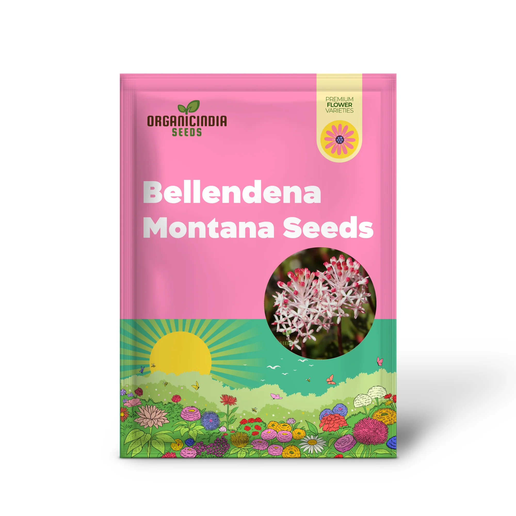Bellendena Montana Seeds For Planting: Cultivating Tranquility in Your Garden - Premium Gardening Essentials & Expert Tips - Image 2