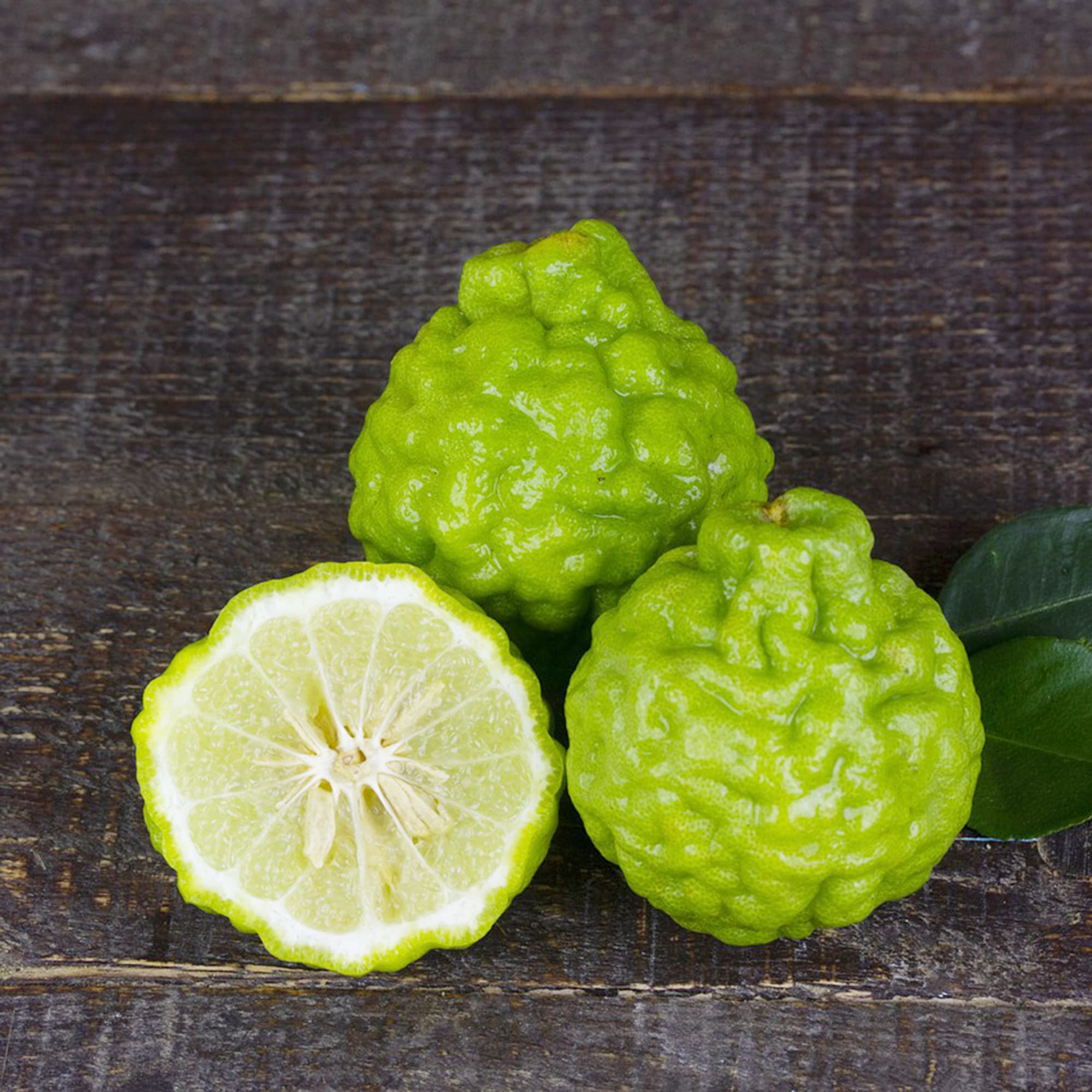 Bergamot Orange Seeds for Planting – Grow Fragrant & Flavorful Citrus for Tea & Perfume - Image 3