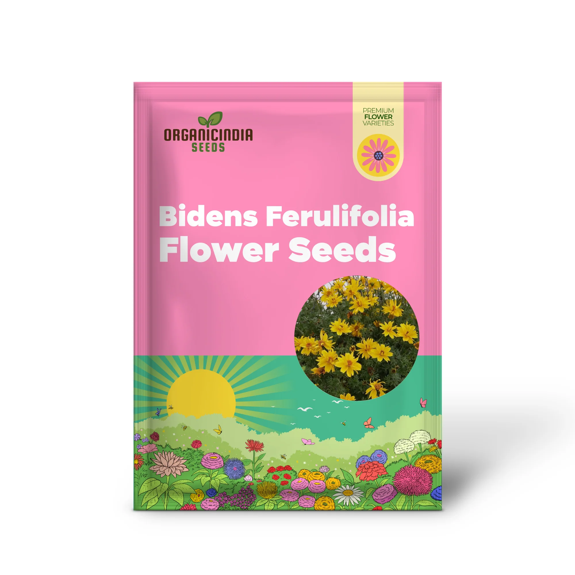 Bidens Ferulifolia Gold Nuggets Seeds For Planting, Brighten Your Garden with Golden Blooms - Image 2