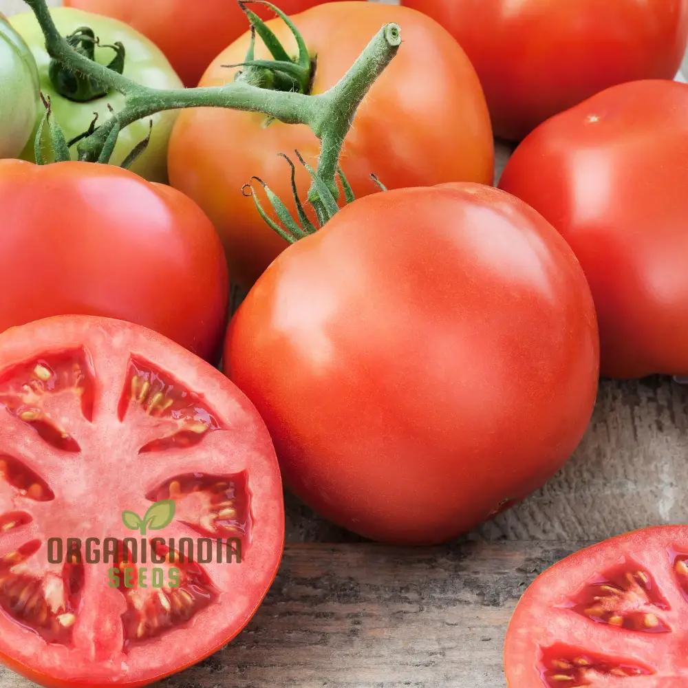 Big Beef Tomato Seeds, Premium Quality for Gardening and Planting