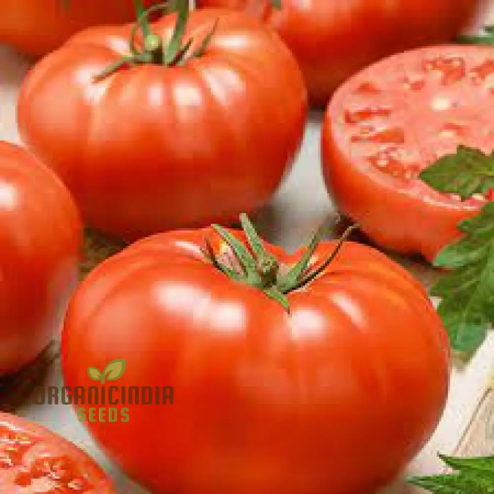 Big Beef Tomato Seeds, Premium Quality for Gardening and Planting - Image 3