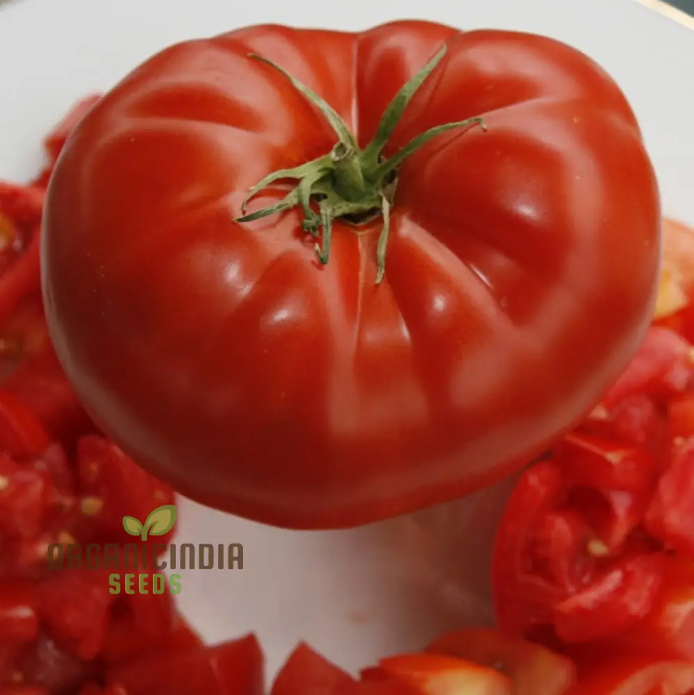 Big Beef Tomato Seeds, Premium Quality for Gardening and Planting - Image 4
