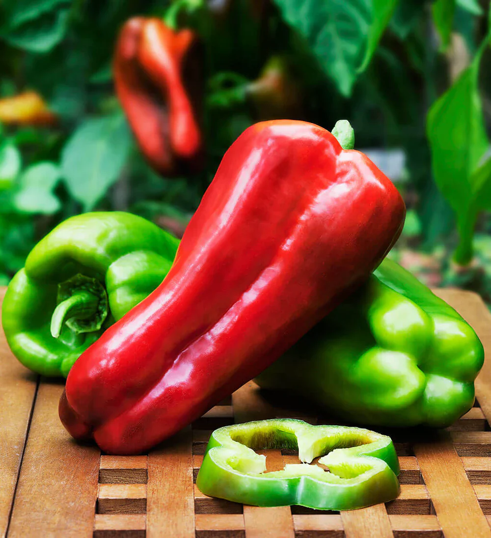 Big Bertha Bell Pepper Seeds – Extra-Large, Sweet & Crisp Peppers - Image 2