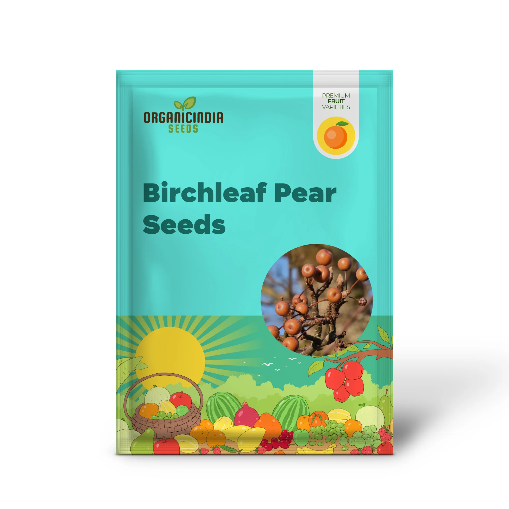 Birchleaf Pear (Pyrus betulifolia) – Seeds - Image 2