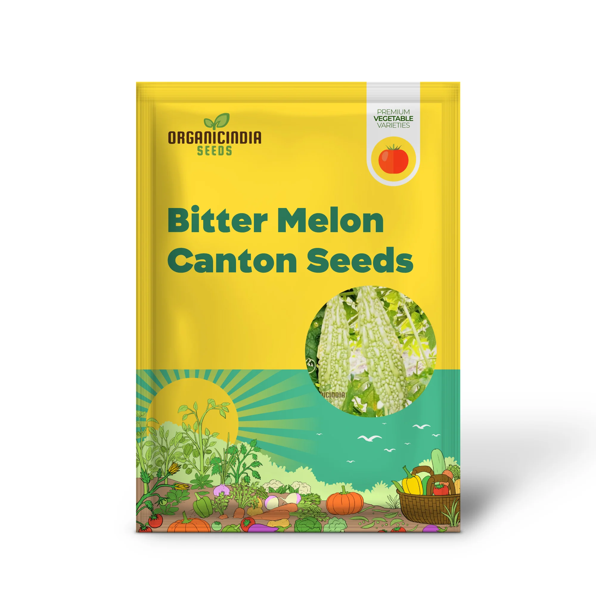 Bitter Melon - Canton Green F1 Seeds for Gardening Enthusiasts | Premium Quality Organic Seeds - Image 2