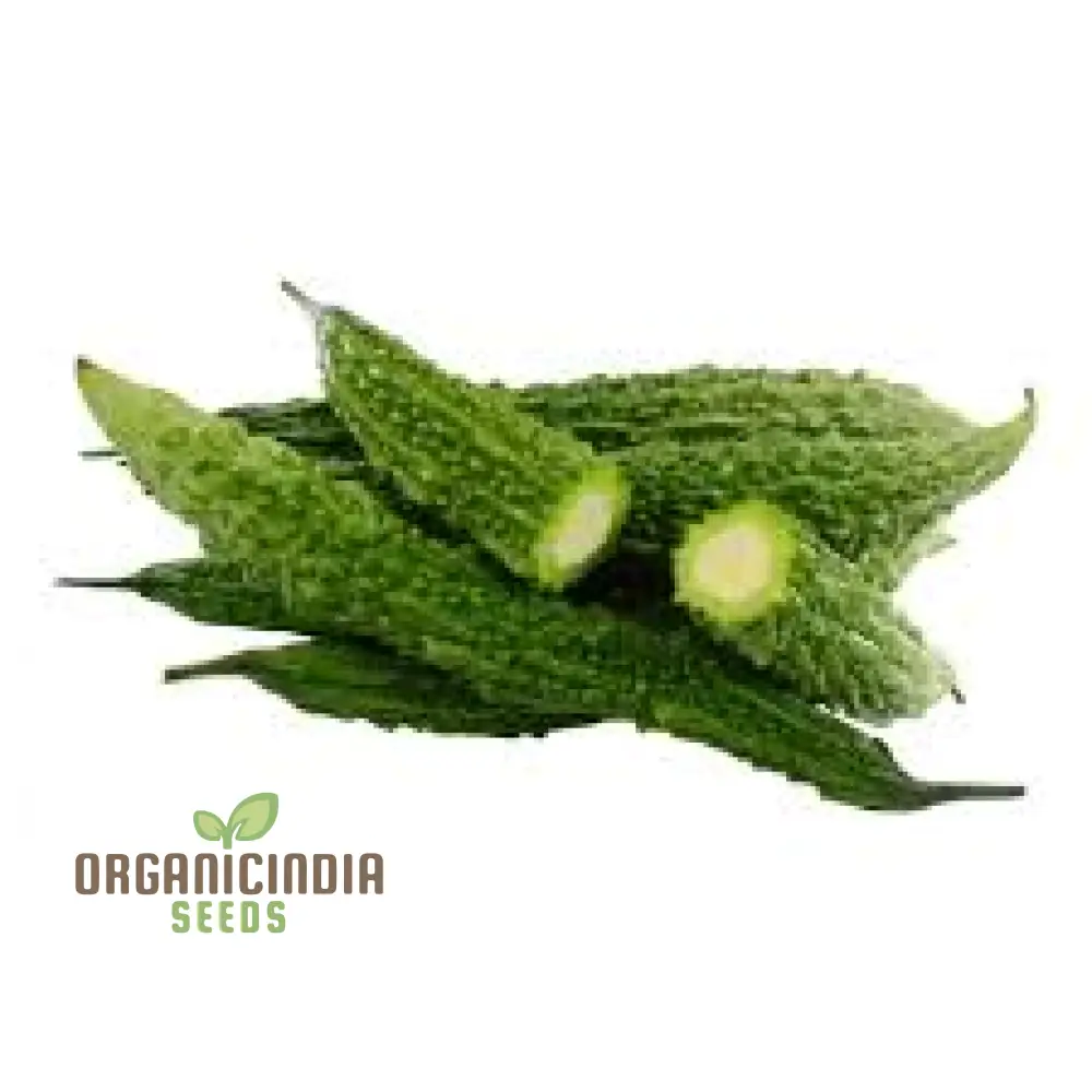 Bitter Melon - Indian Magara F1 Seeds for Gardening | Premium Quality Seeds - Image 4