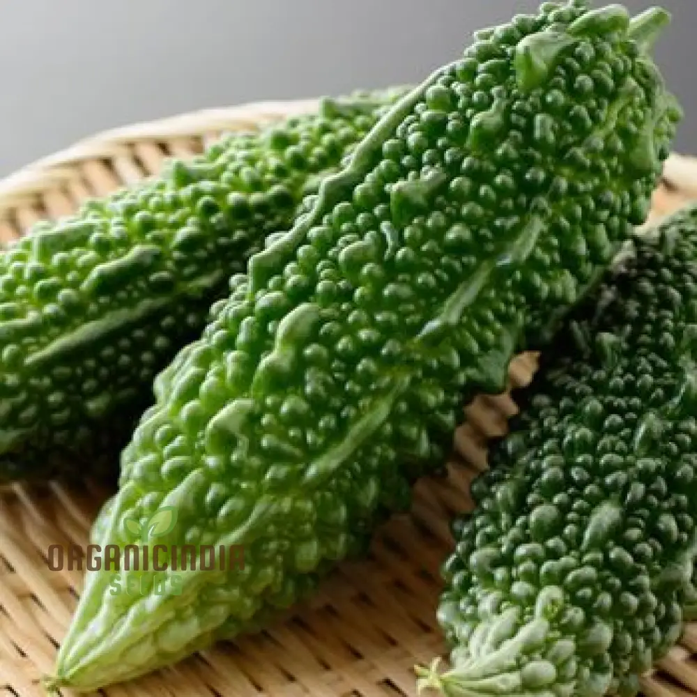 Bitter Melon Jounpuri Seeds - Premium Quality for Your Garden | Buy Seeds Online - Image 3