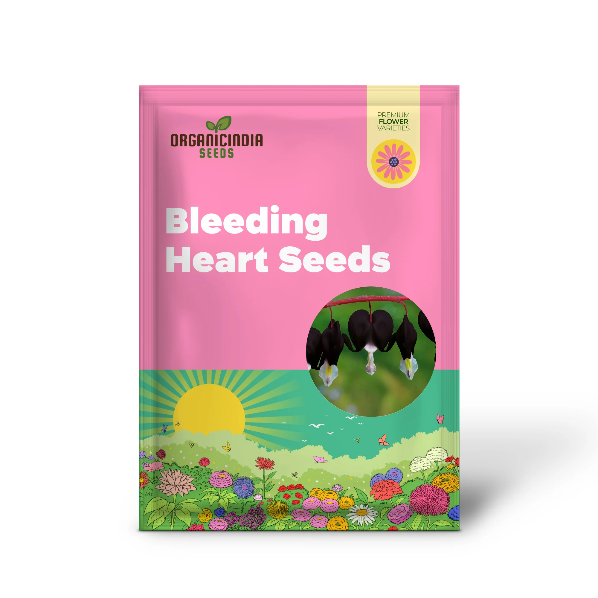 Black Bleeding Heart Seeds Perennial Shade Flowering Seeds for Stunning Blooms - Image 2
