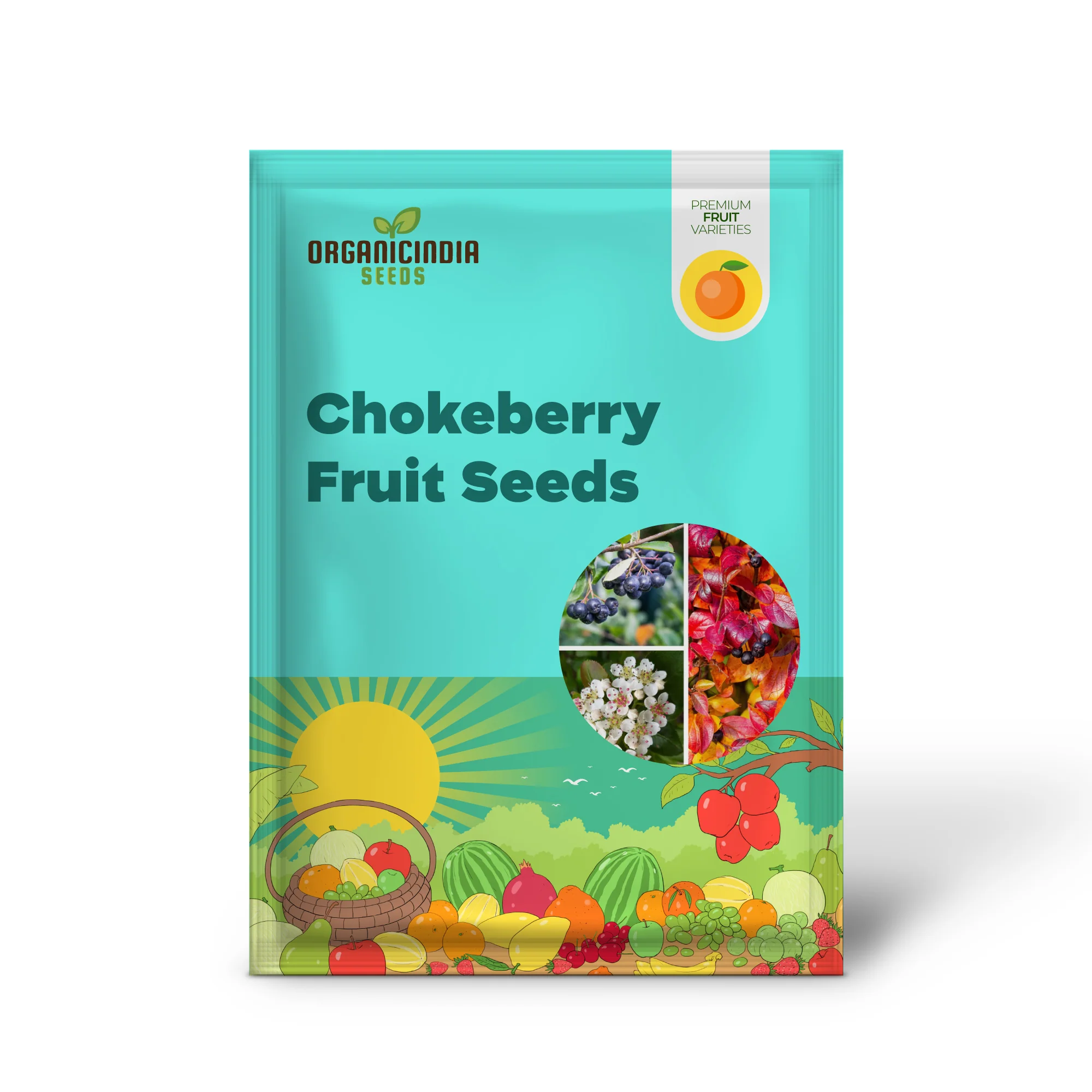 Black Chokeberry Fruit Seeds - Image 2
