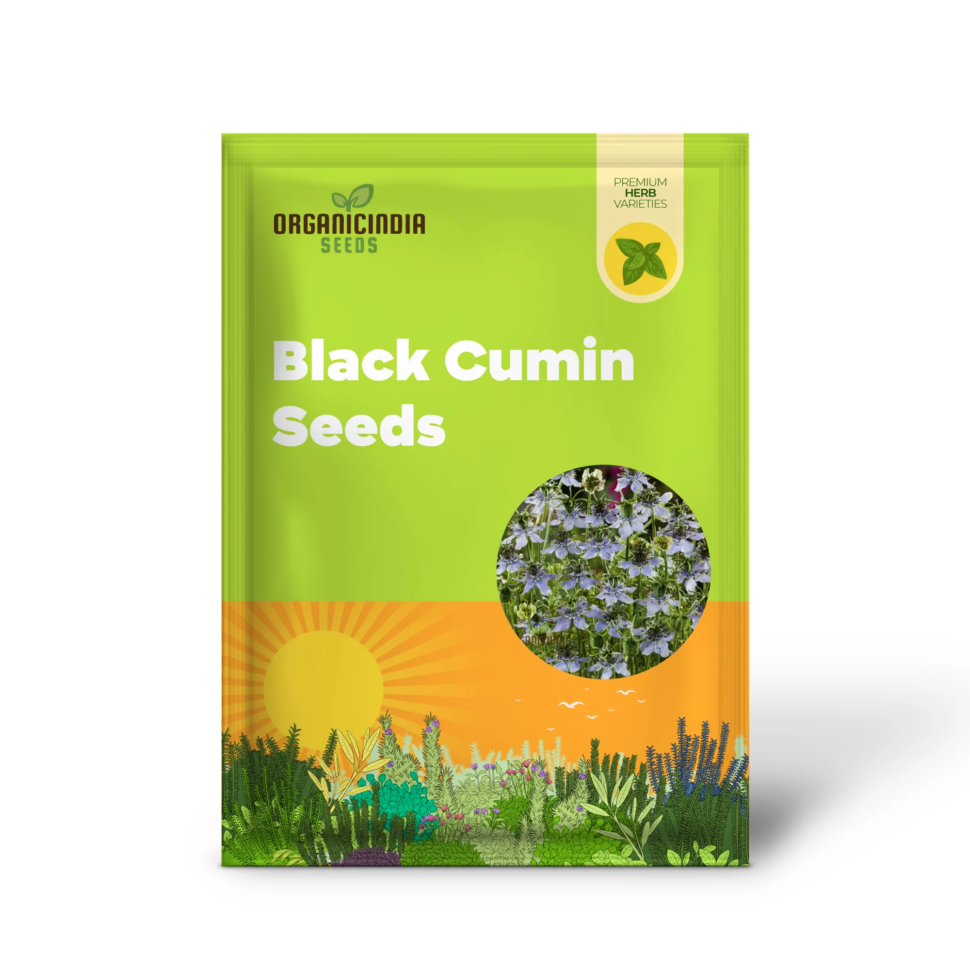 Black Cumin Seeds for Planting and Gardening - High Germination Rate - Image 2
