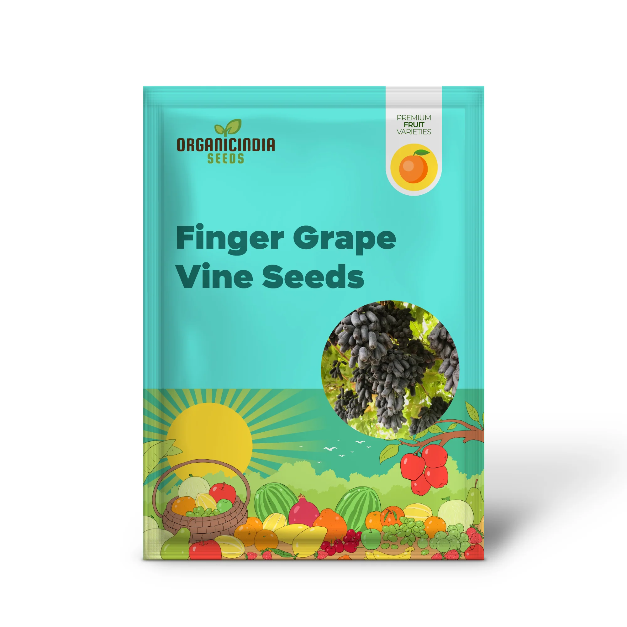 Black Finger Grape Vine Seeds - Image 2