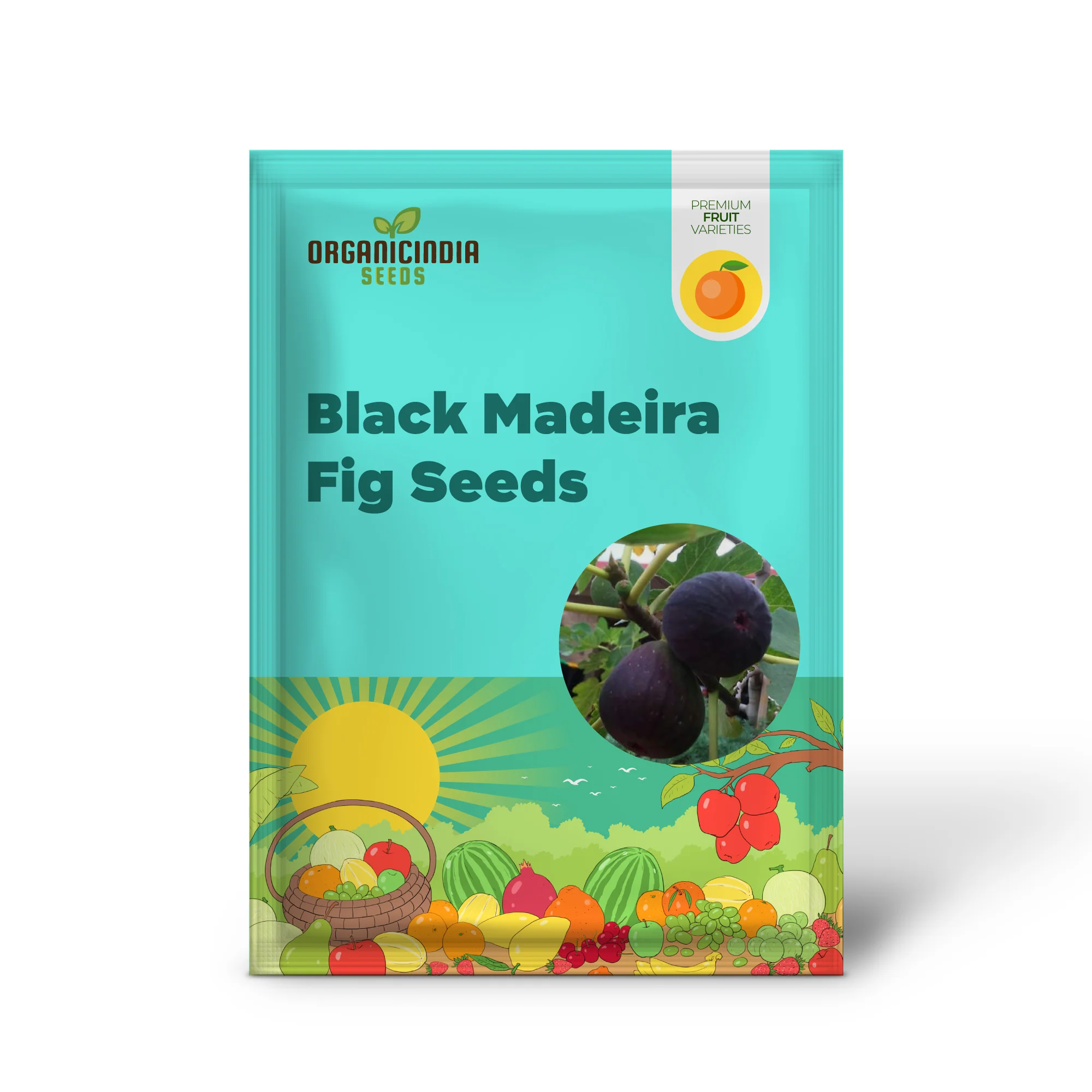Black Madeira Fig Seeds for Planting - 100 pcs - Image 2