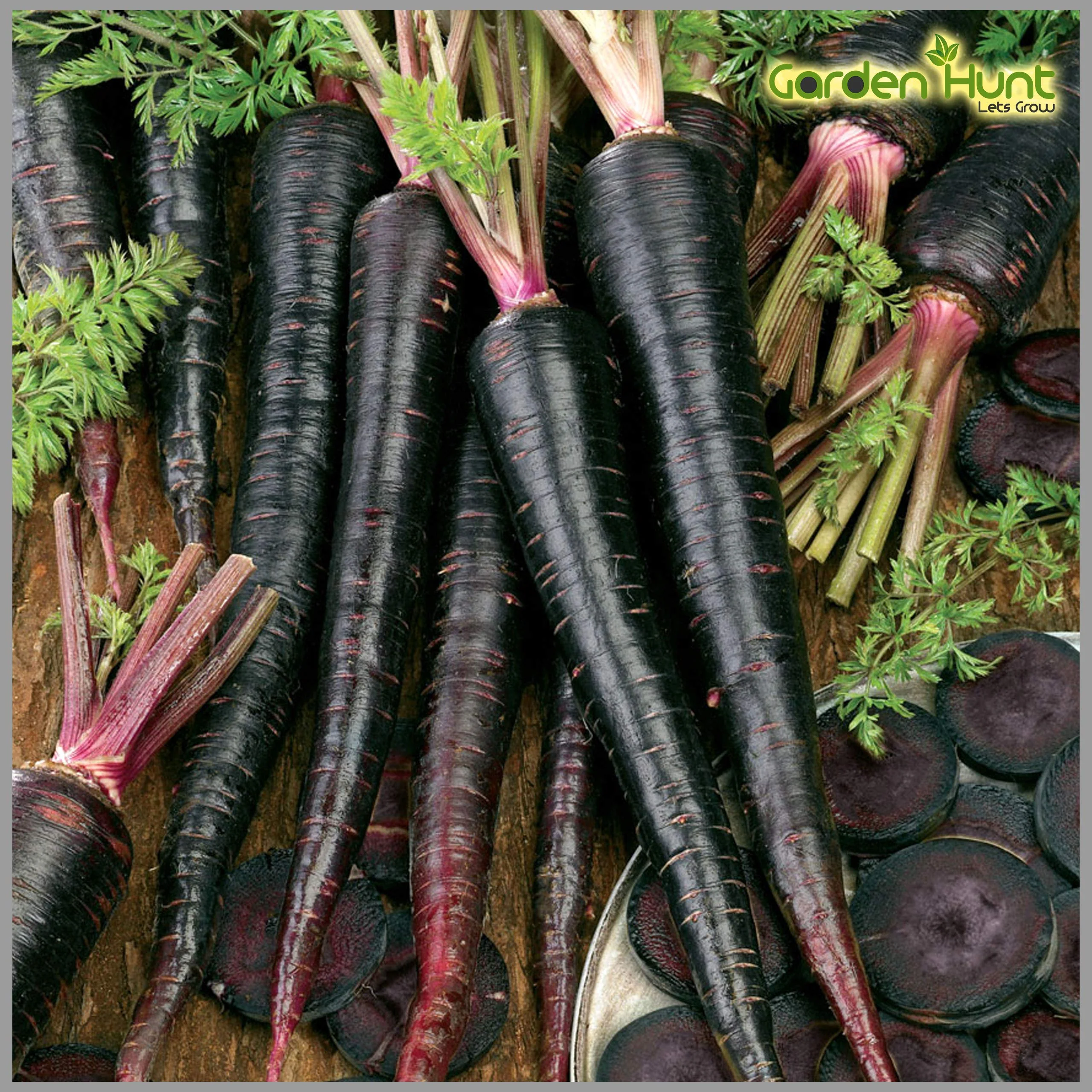 Black Nebula Carrot Seeds – Rare Heirloom Variety for Deep Purple, Nutrient-Rich Harvest - Image 2