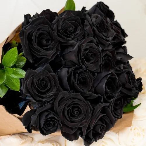 Black Rose Seeds – Dark Blooming Garden Rose for Outdoor Planting - Image 2