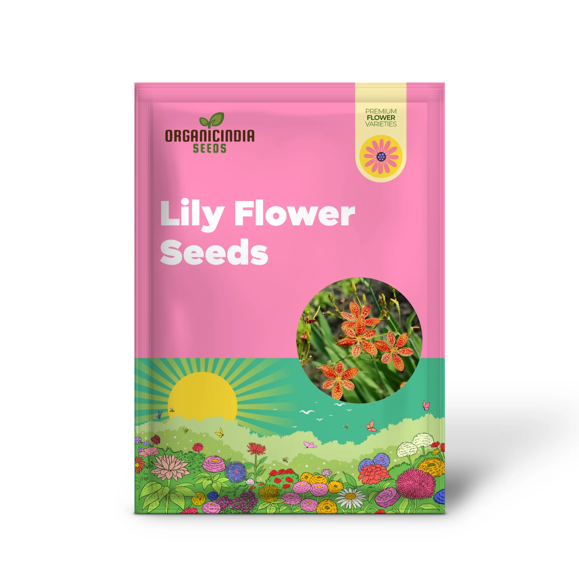 Blackberry Lily Flower Seeds for Planting, Premium Quality Seeds for Your Garden - Image 2