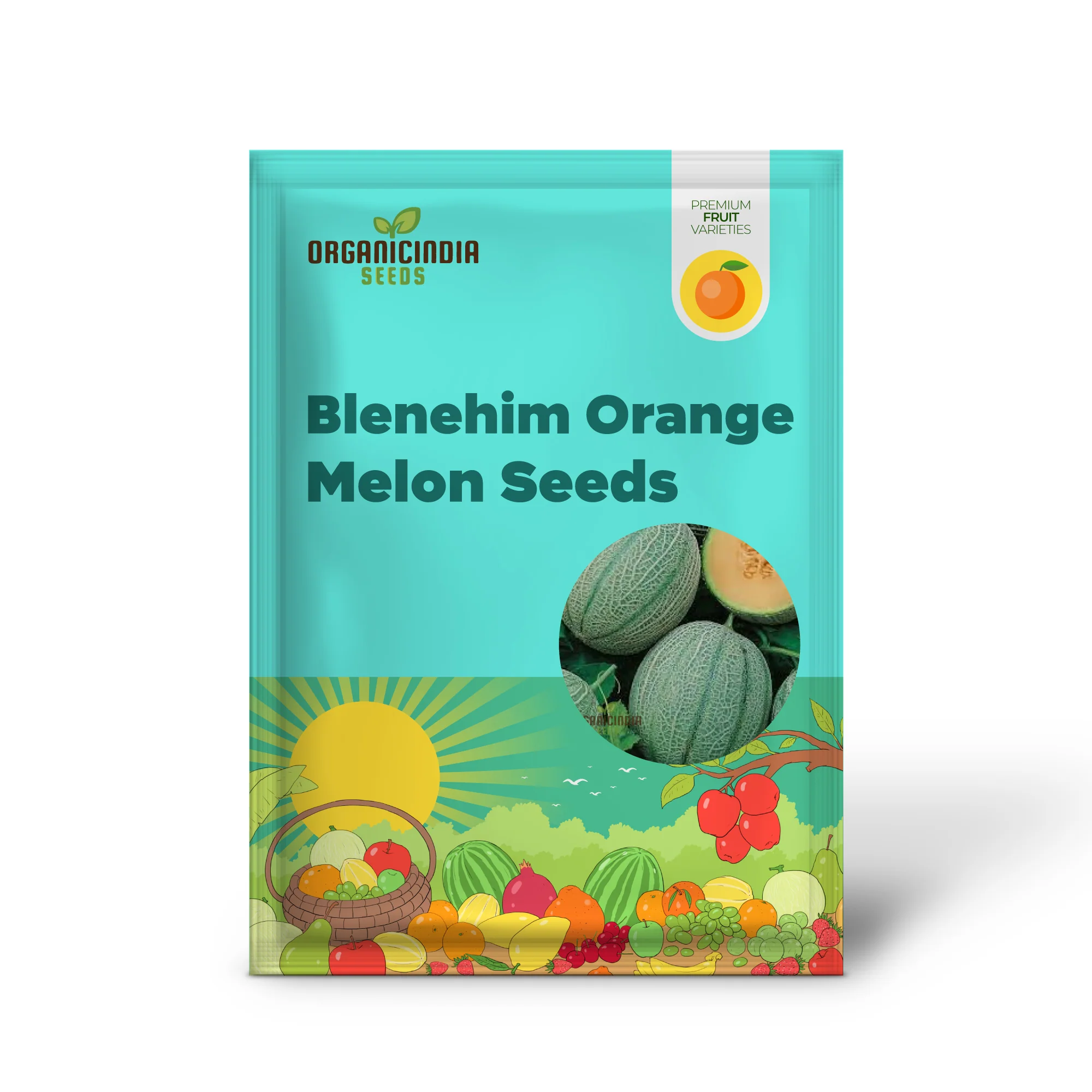 Blenehim Orange Melon Seeds - Sweet and Juicy Heirloom Variety for Your Garden - Image 2