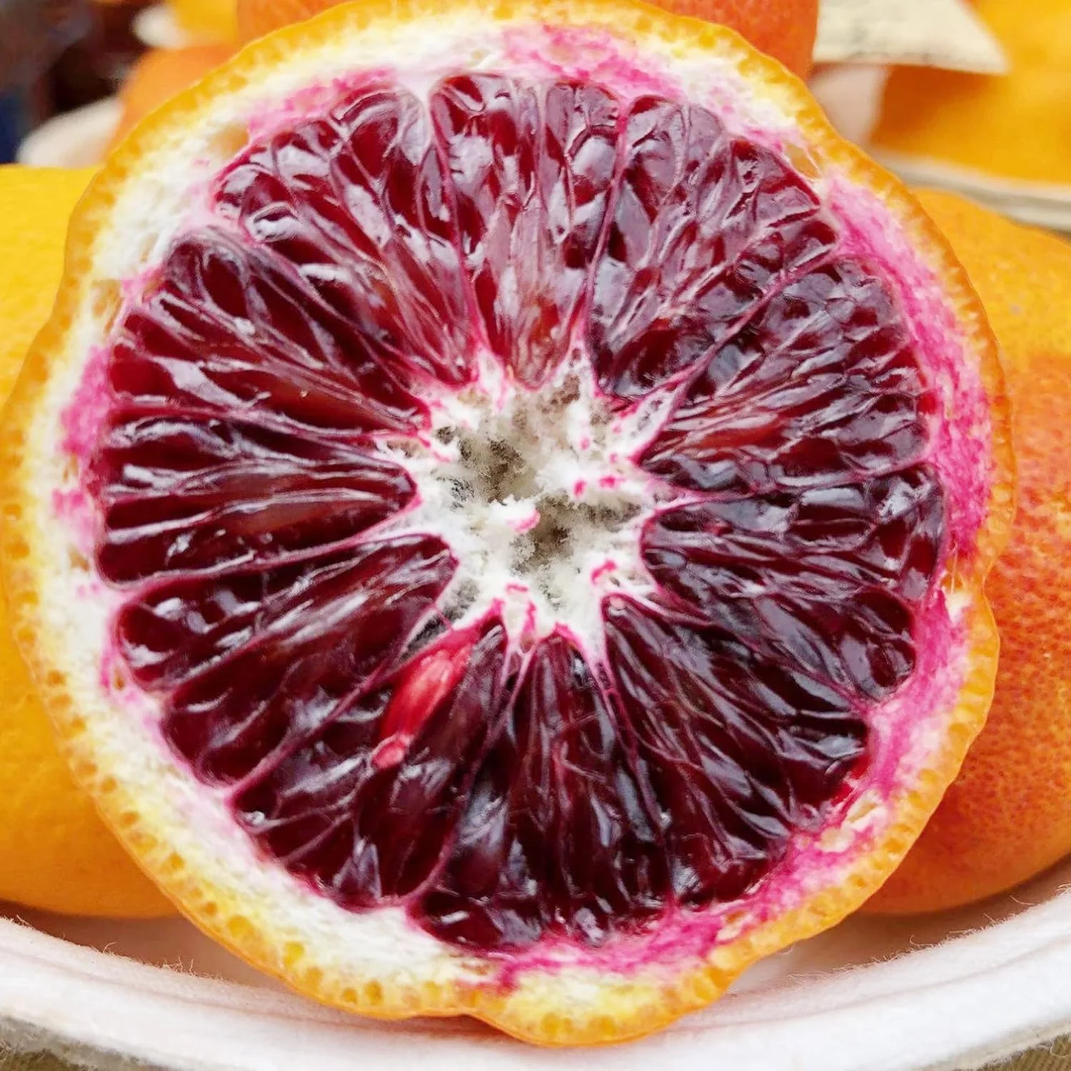 Blood Orange Tree Seeds Fast Growing, Rich in Vitamin C, Juicy, GMO Free, Ideal for Containers, Patio, Indoor And Outdoor - Image 5