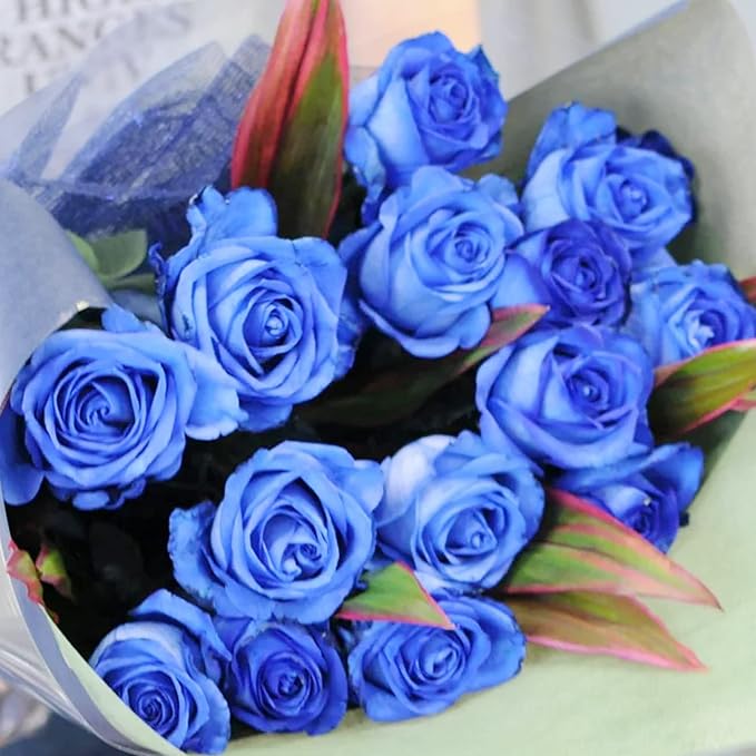 Blue Climbing Rose Seeds – Fragrant, Butterfly & Bee Attracting, Ideal for Cut Flowers, Showy on Trellises, Pergolas, Fences, Wall-Side Outdoor – 5Pcs Flower Seeds - Image 5