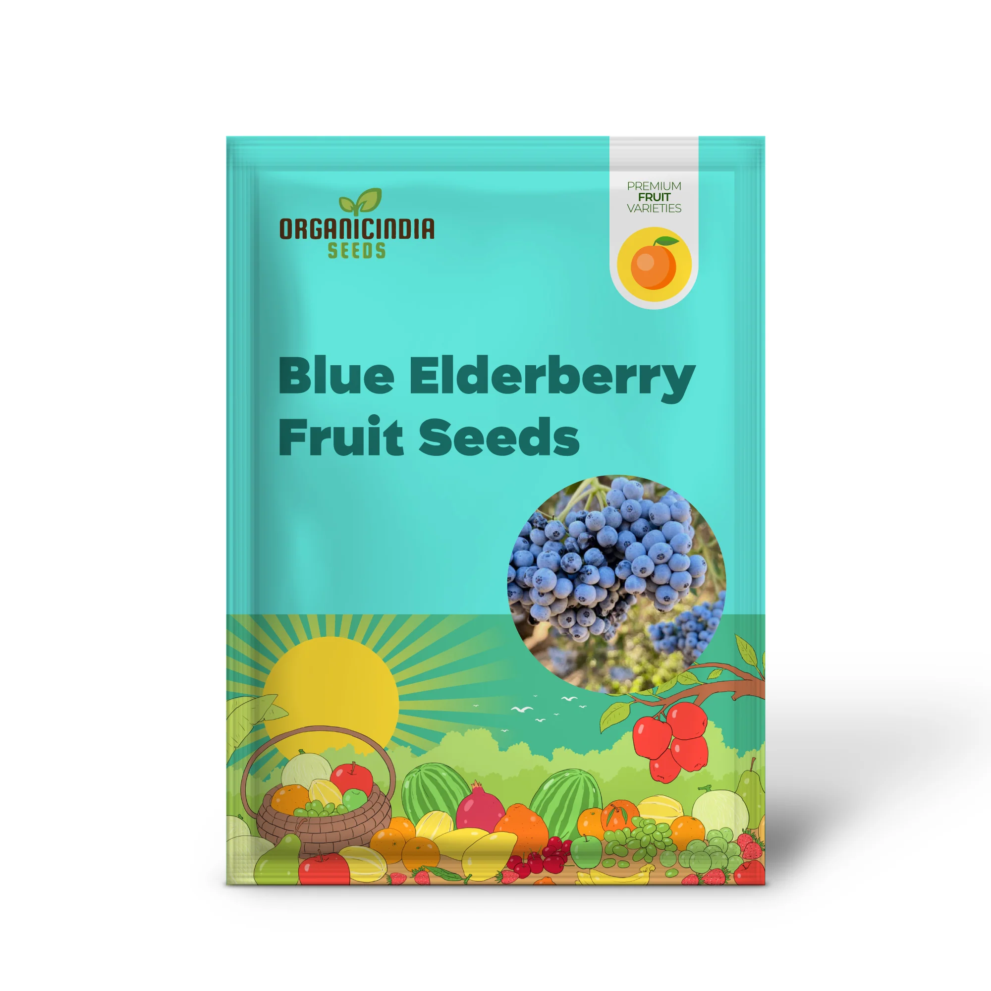 Blue Elderberry Fruit Seeds - Image 2