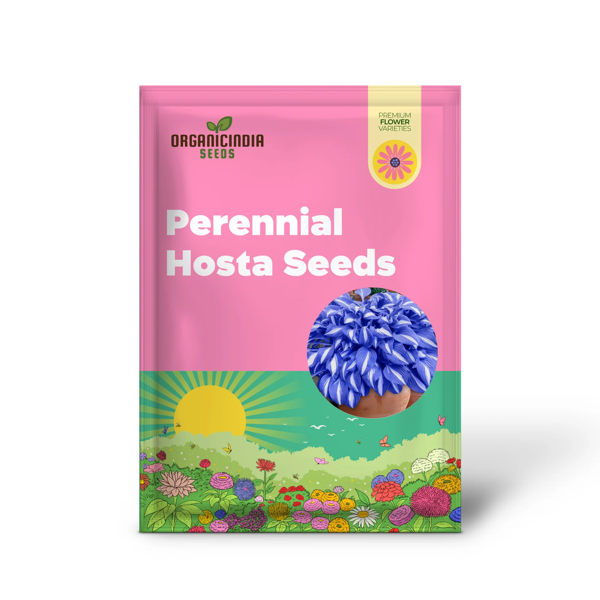 Blue Hosta Plants, Perennial Hosta Seeds for Outdoor Garden Shade, Easy to Grow And Plant - Image 2