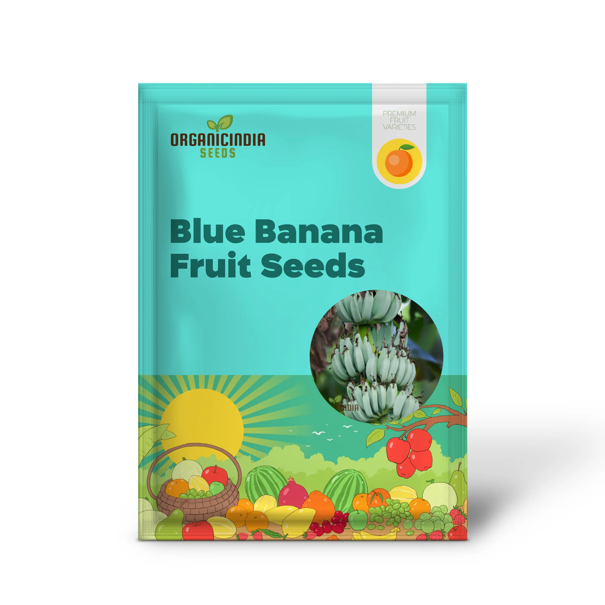 Blue Java Banana Seeds for Planting, Enhance Your Gardening with Exotic Banana Fruit Seeds - Image 3