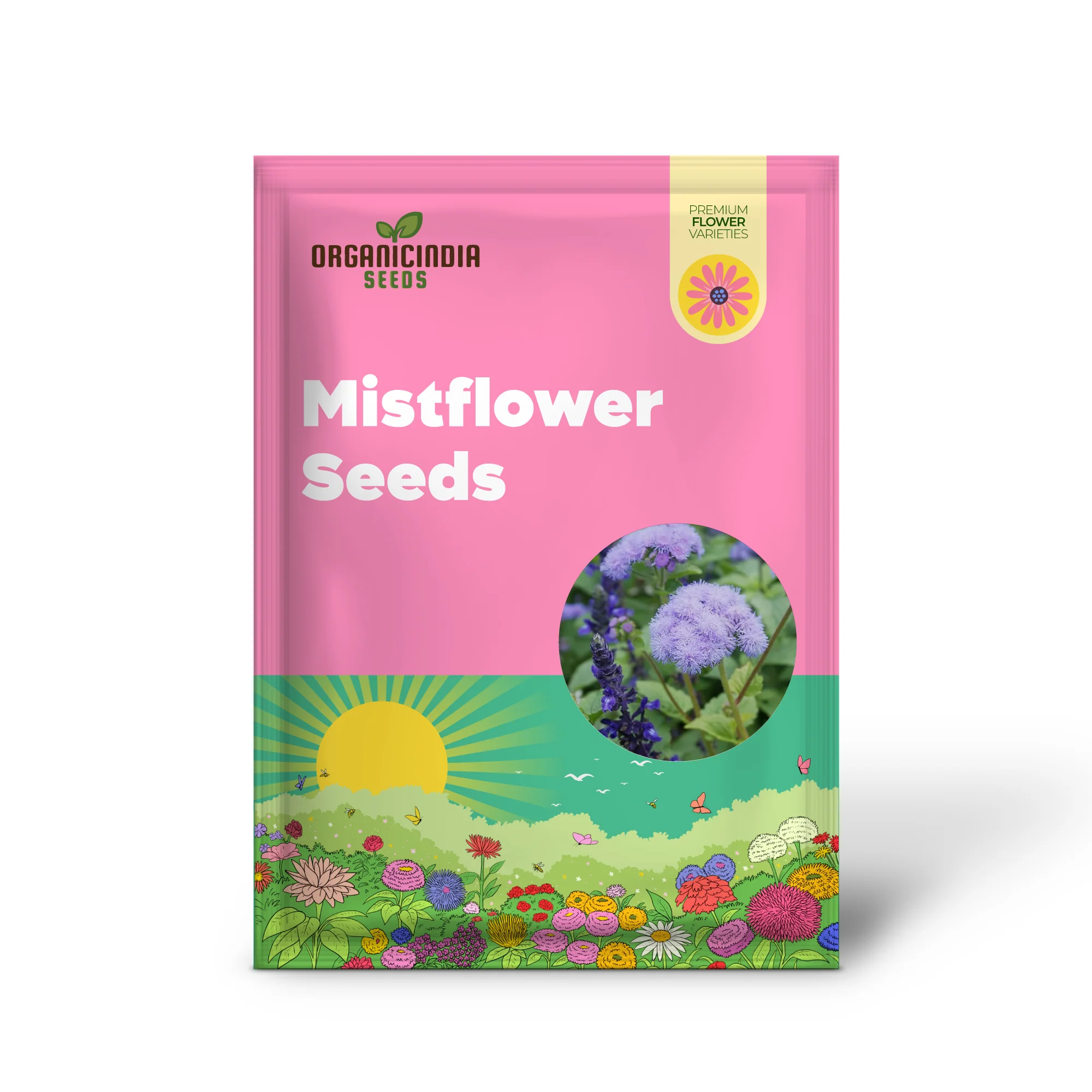 Blue Mistflower Seeds (Conoclinium coelestinum) - Hardy Upright Perennial Blooms - Image 2