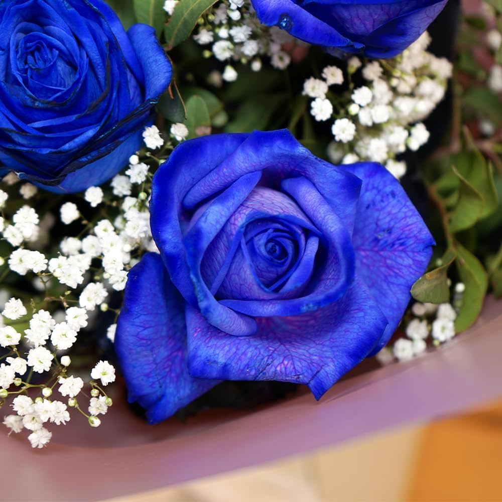 Blue Rose Flower Seeds ,Rare Exotic Blooms, Easy to Grow, Non-GMO - Image 3