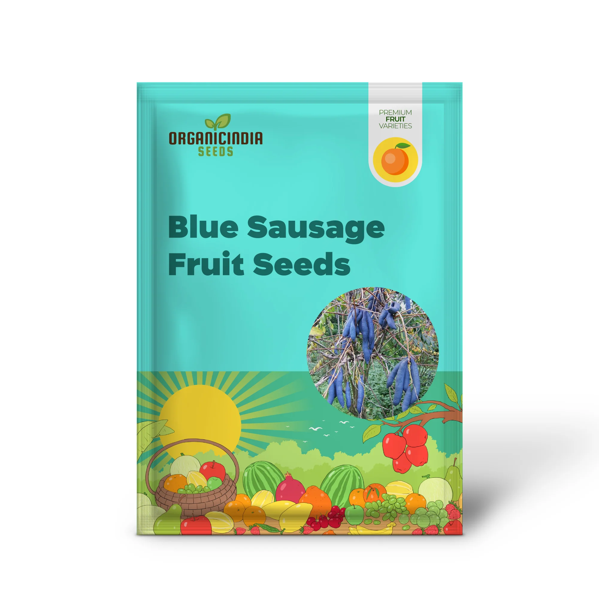 Blue Sausage Fruit Seeds - Image 2