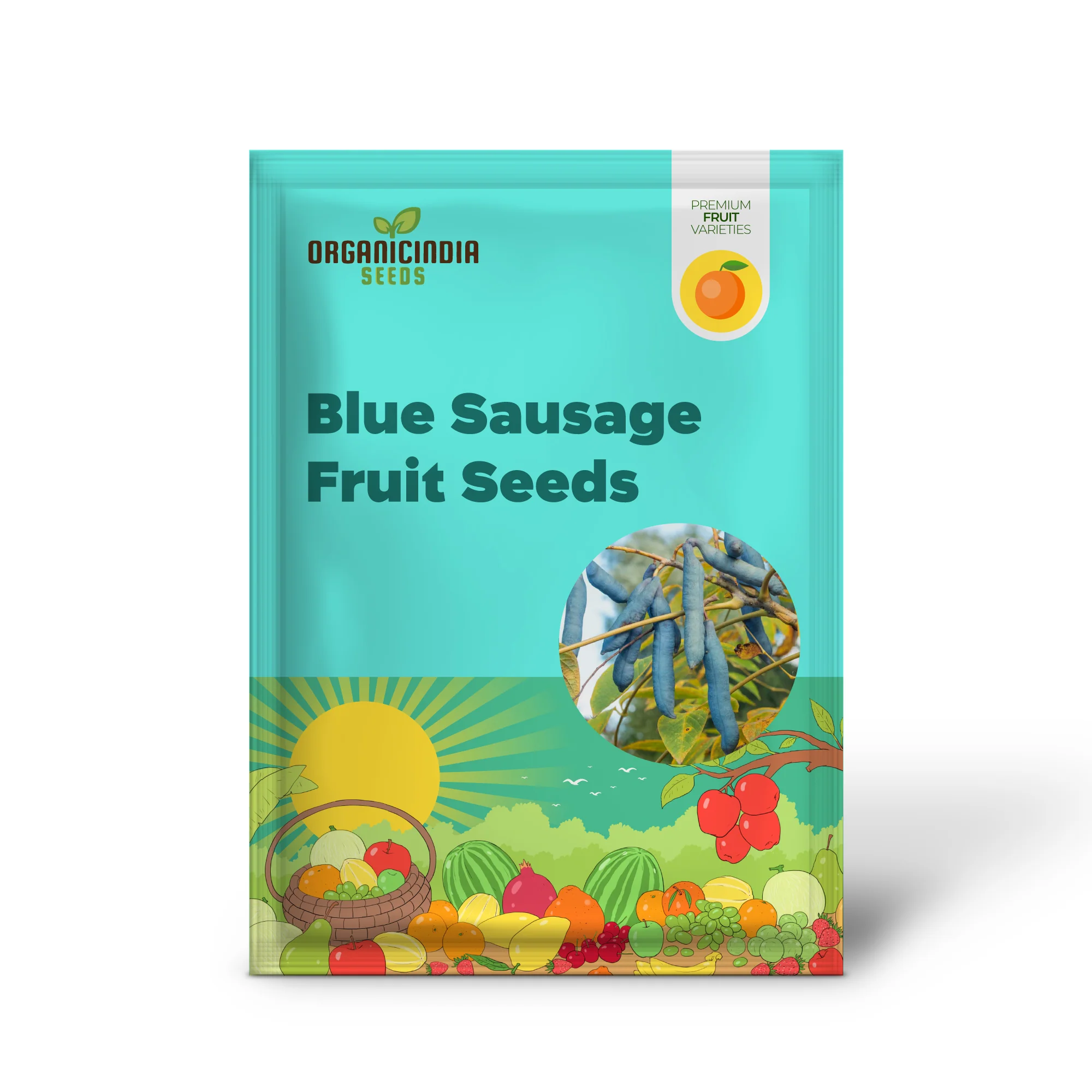 Blue Sausage Fruit (Solanum sambucifolium) – Seeds - Image 2