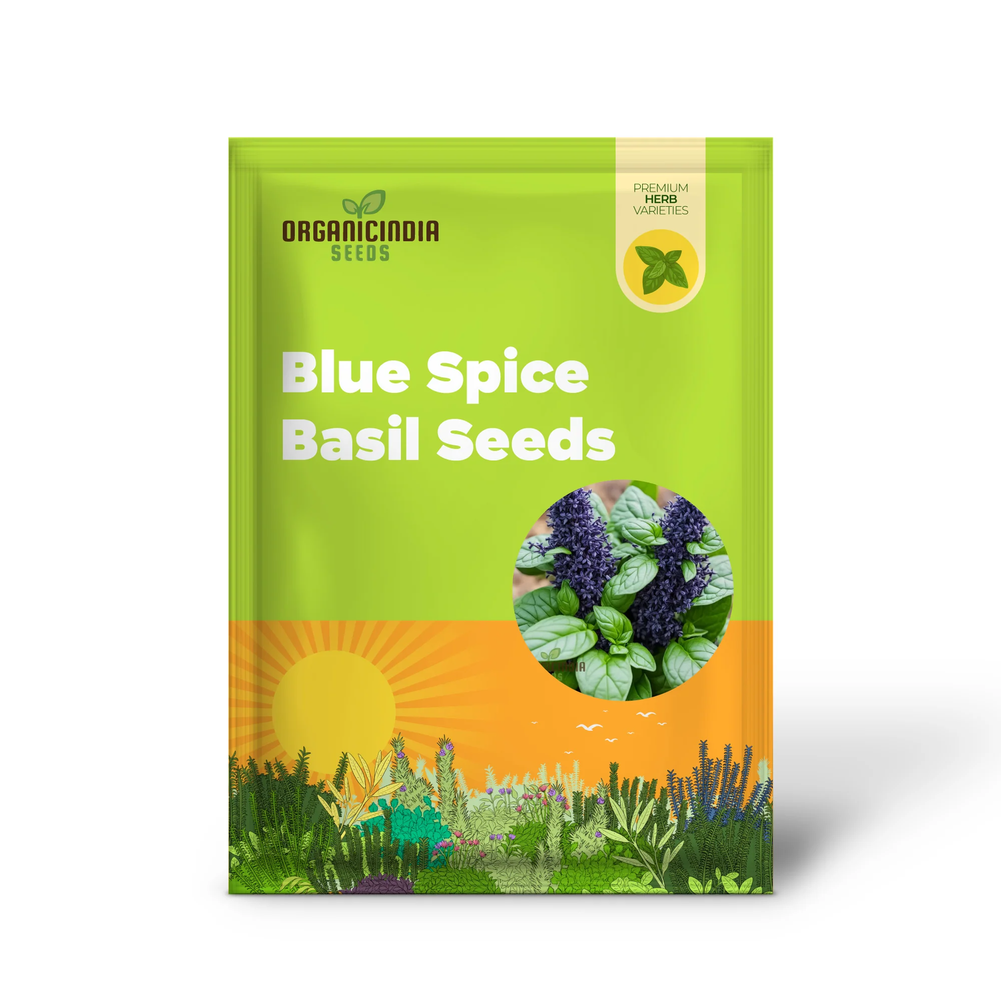 Blue Spice Basil Seeds, Fragrant Perennial Herb - Elevate Your Culinary Creations - Image 2