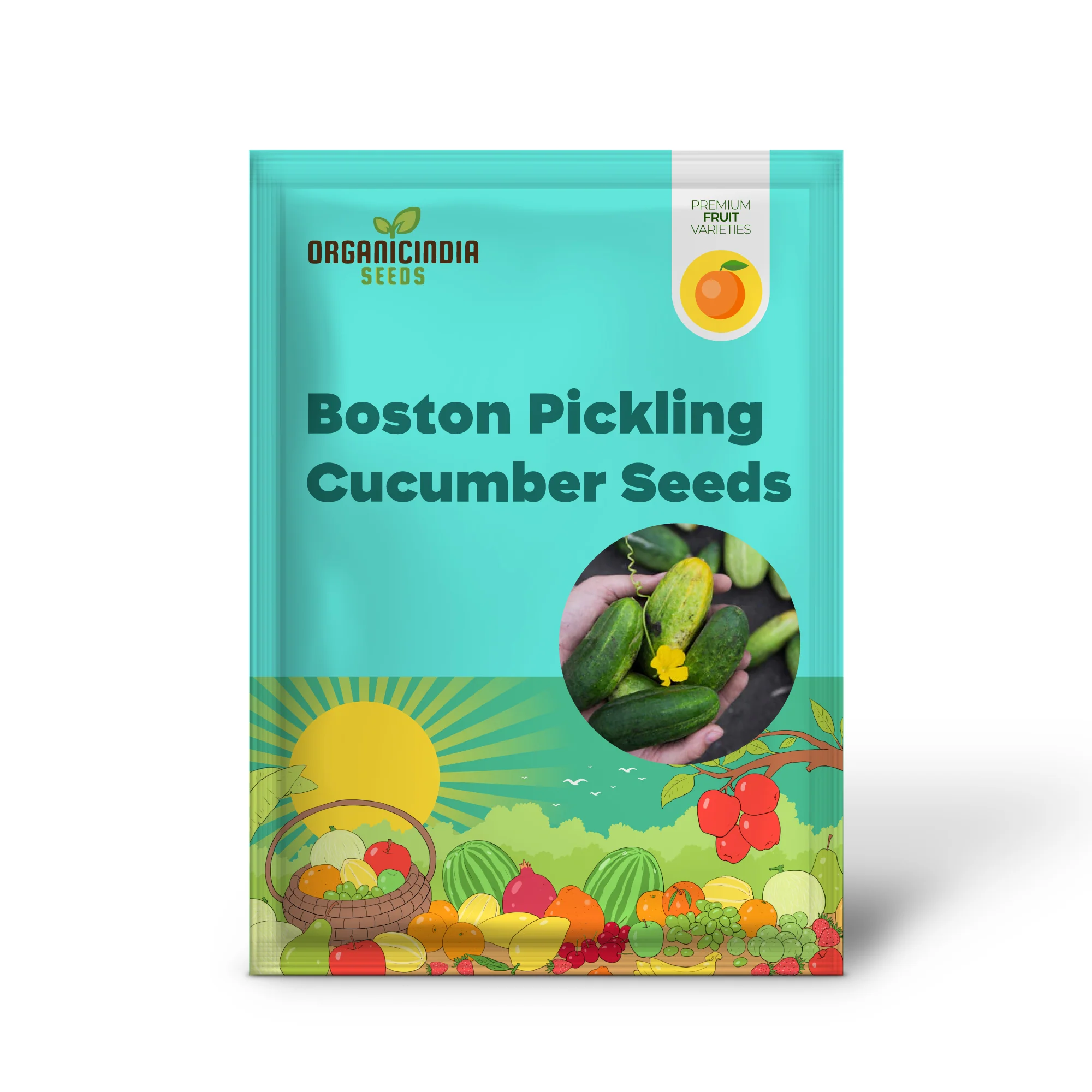 Boston Pickling Cucumber Seeds - Image 2