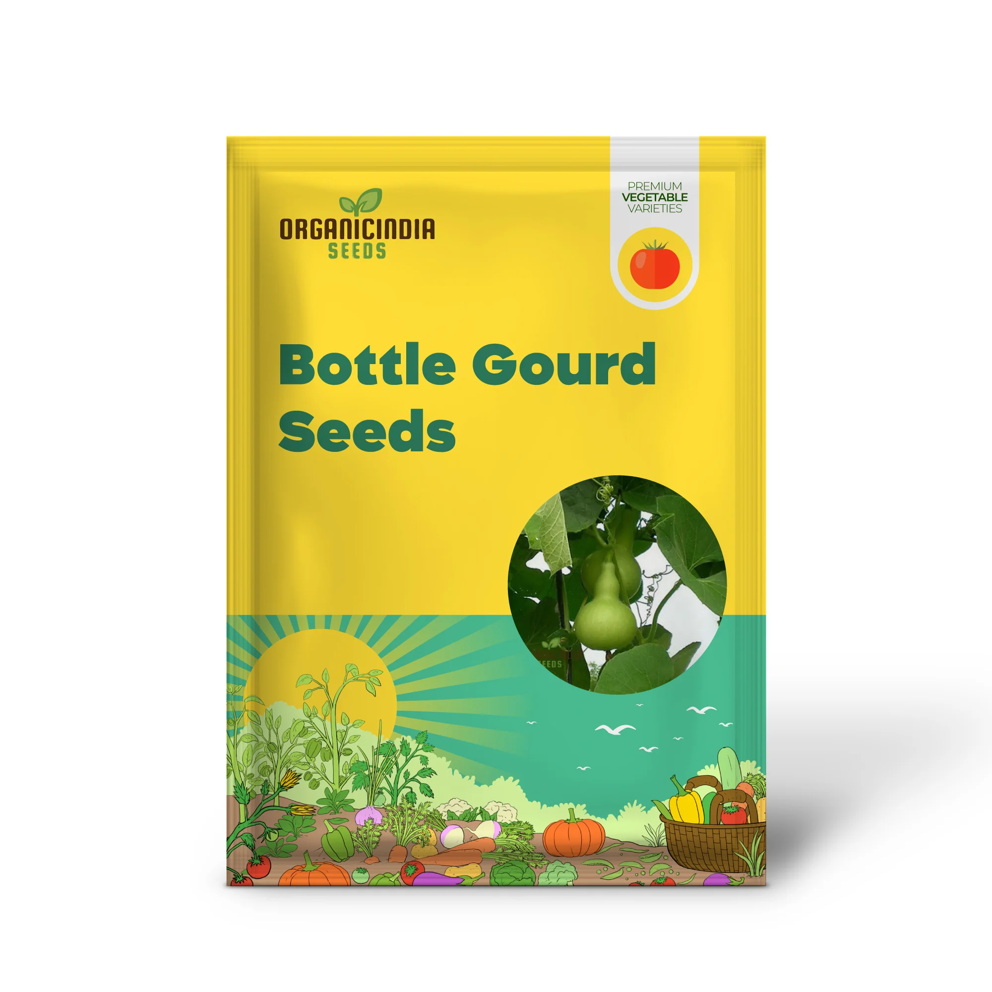 Bottle Gourd Desi-Spinning Top (Lattu) Shape Seeds - Planting Guide Included - Rare and Unique Varietal for Your Garden - Image 2