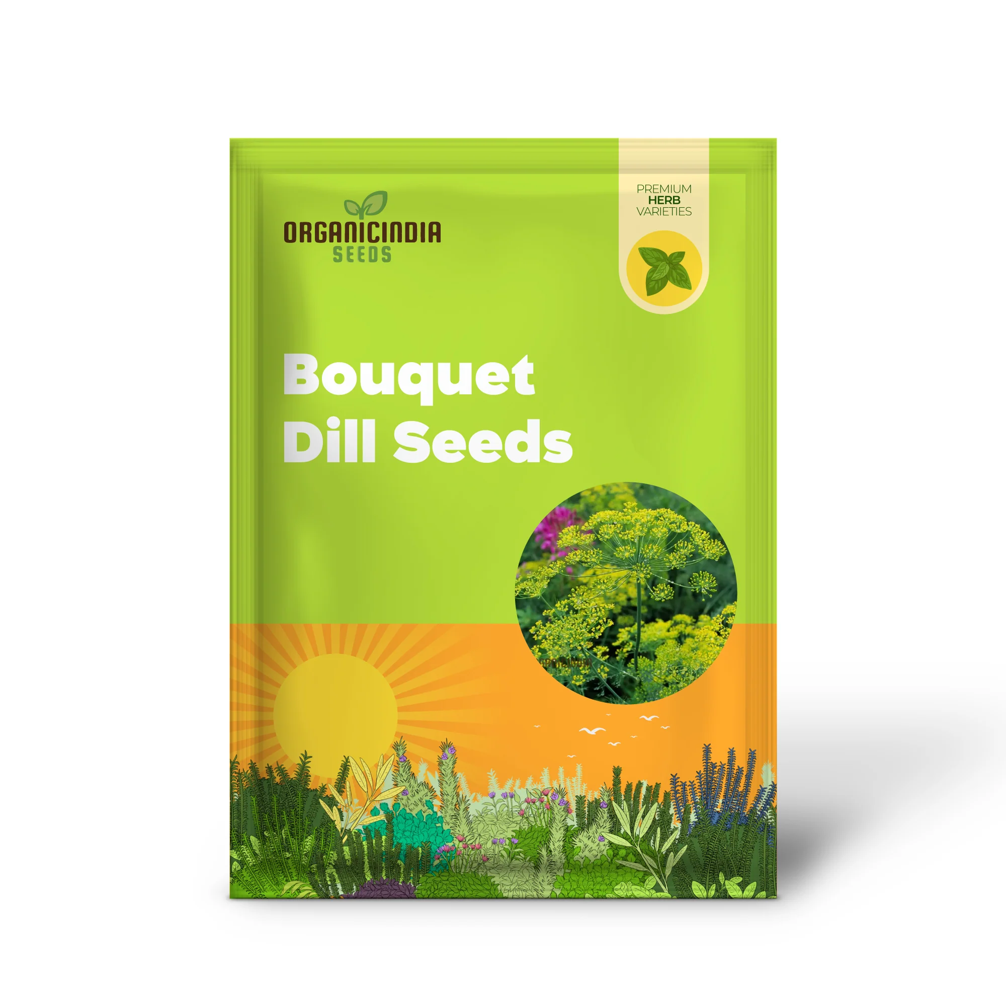 Bouquet Dill Seeds – Aromatic, Fast-Growing Herb for Home Gardening & Containers - Image 2