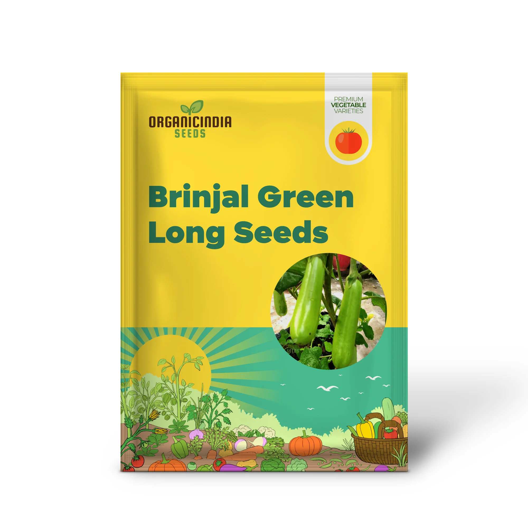 Brinjal Green Long Vegetable Seeds, Comprehensive Planting and Gardening Guide for Producing Abundant and Flavorful Harvests - Image 2