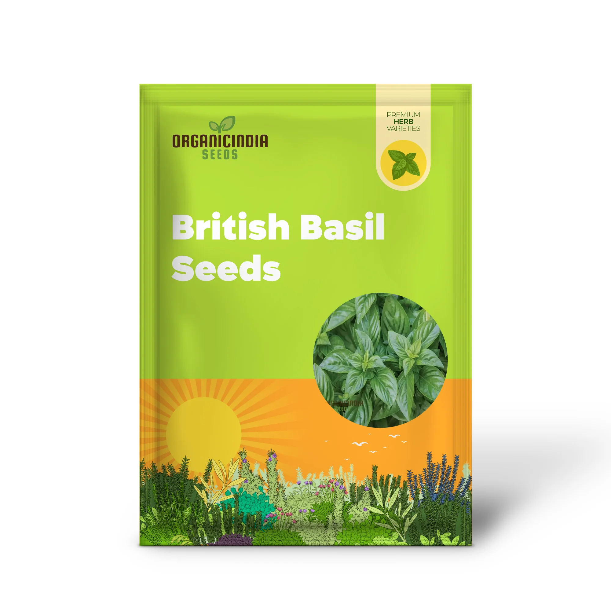 British Basil Seeds for Planting – Premium Organic, Fresh Aromatic Herb Variety - Image 2