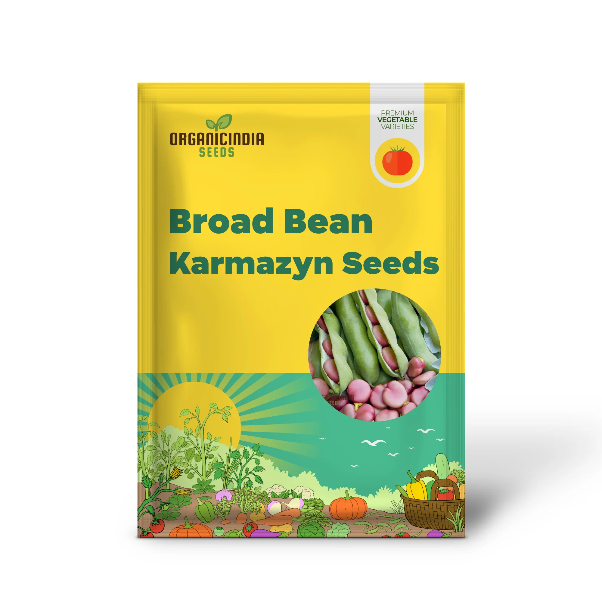 Broad Bean Karmazyn Vegetable Seeds for Planting, Premium Quality Seeds for Home Gardening - Image 2