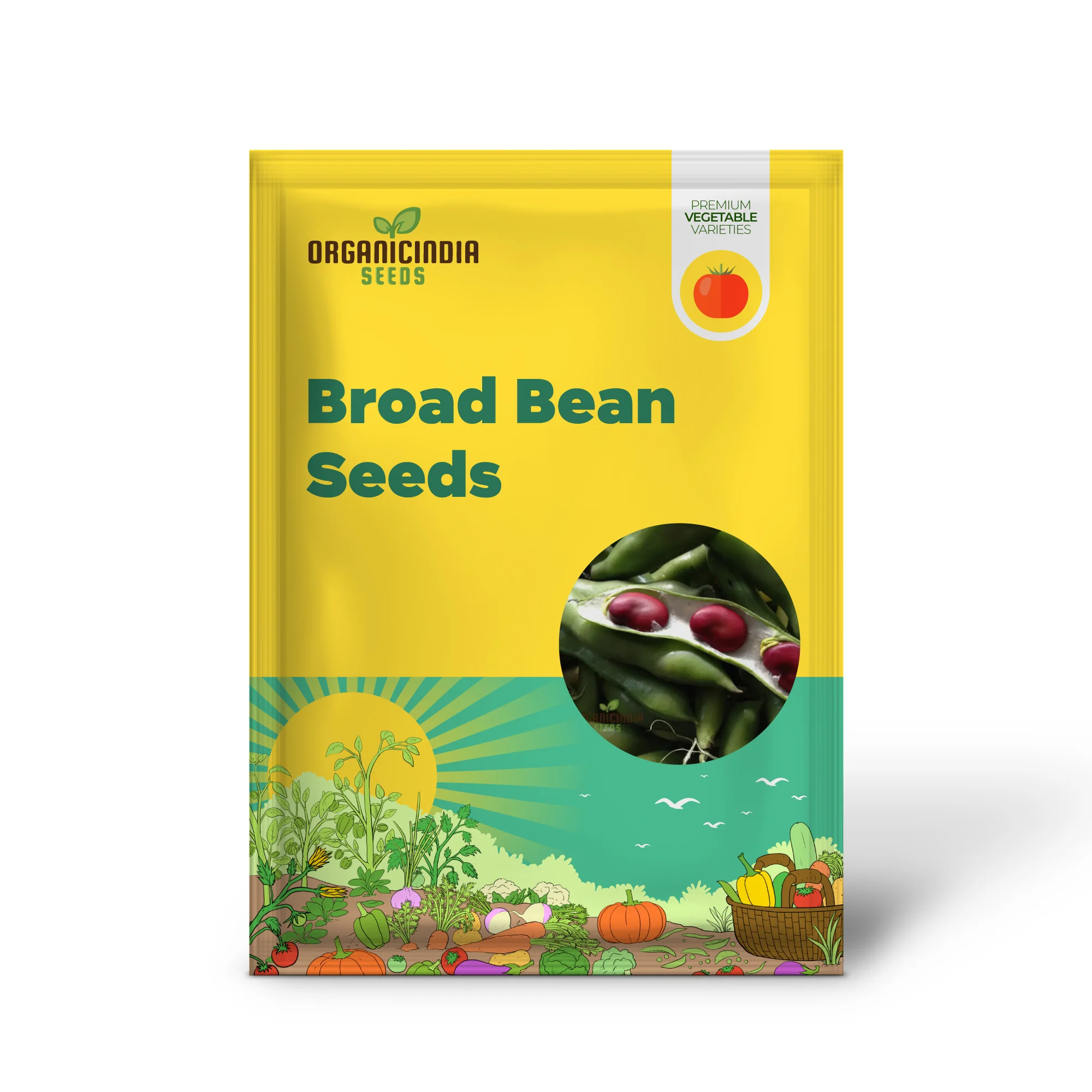 Broad Bean Red Epicure Vegetable Seeds For Planting, High-Yielding, Nutritious Beans for a Successful Garden Harvest - Image 2