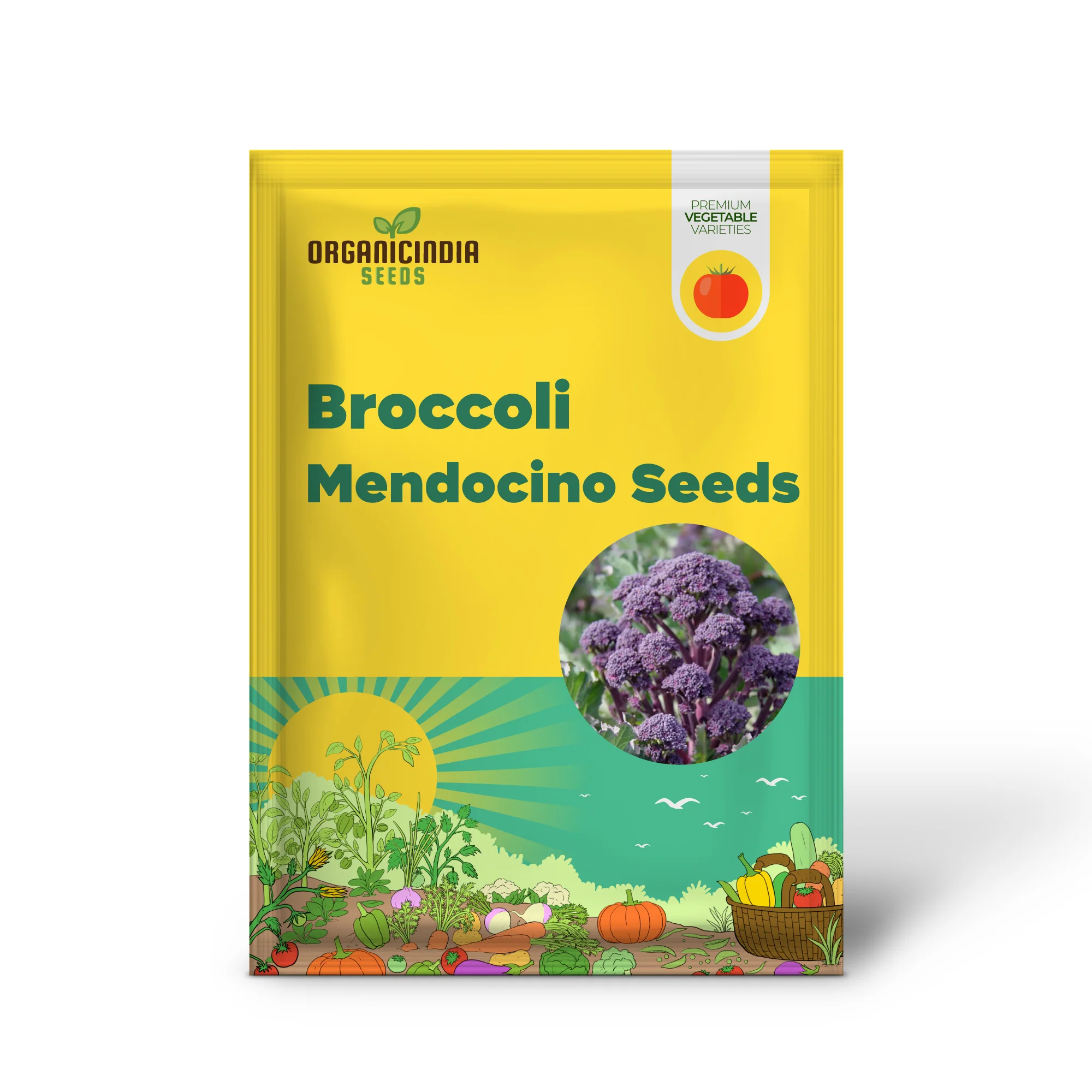 BROCCOLI MENDOCINO SEEDS - Cultivate Your Garden with Premium Quality Seeds for Gardening Enthusiasts - Image 2