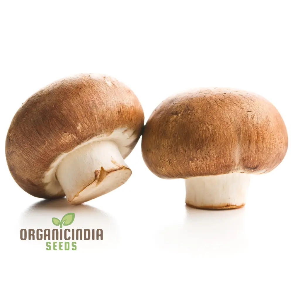 Brown Button Mushroom with Vegetable Seeds for Natural Beauty Grow Your Own - Image 3
